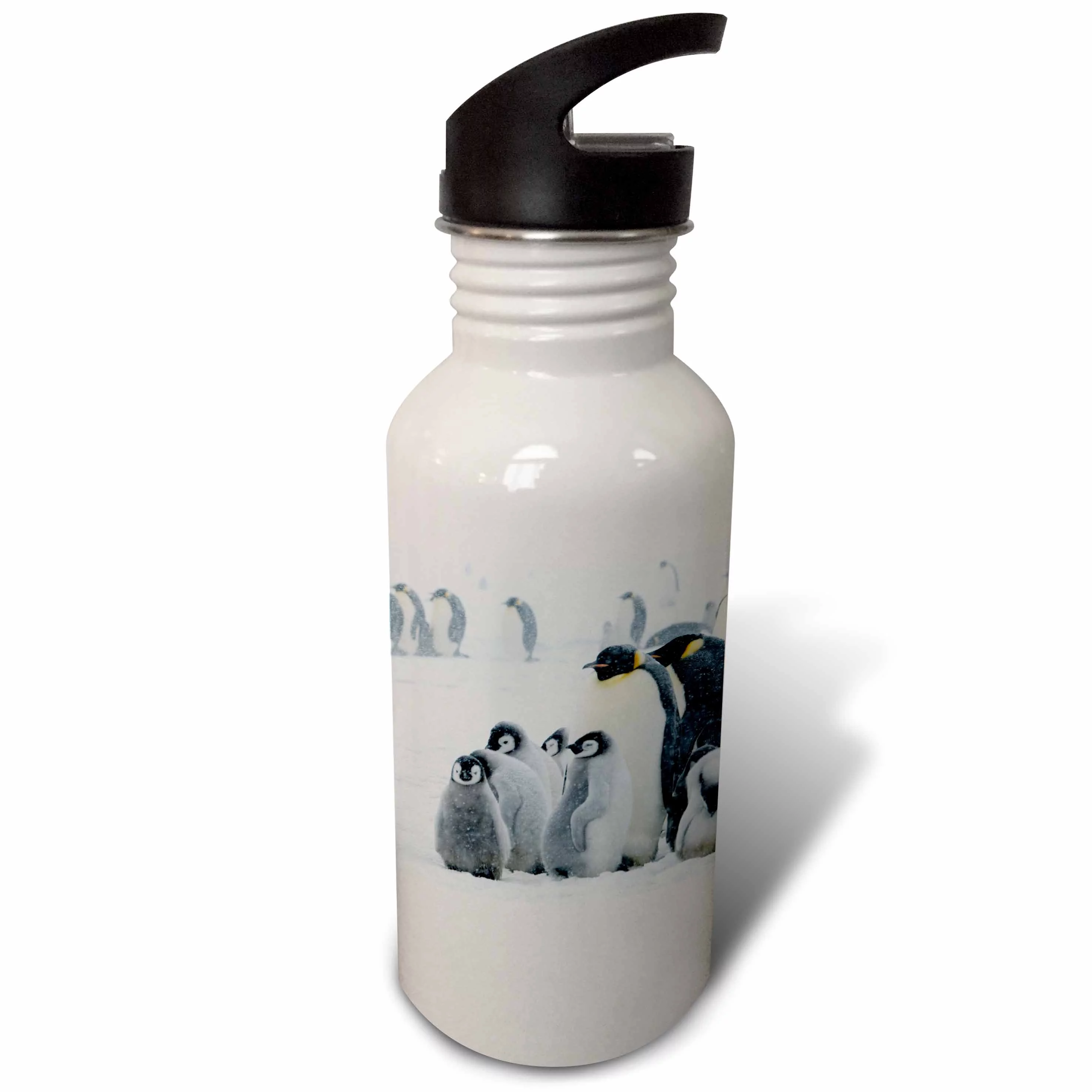 Emperor Penguins in snowstorm, Snow Hill Island, Antarctica-AN02 KSU0113 - Keren Su 21 oz Sports Water Bottle wb-74385-1