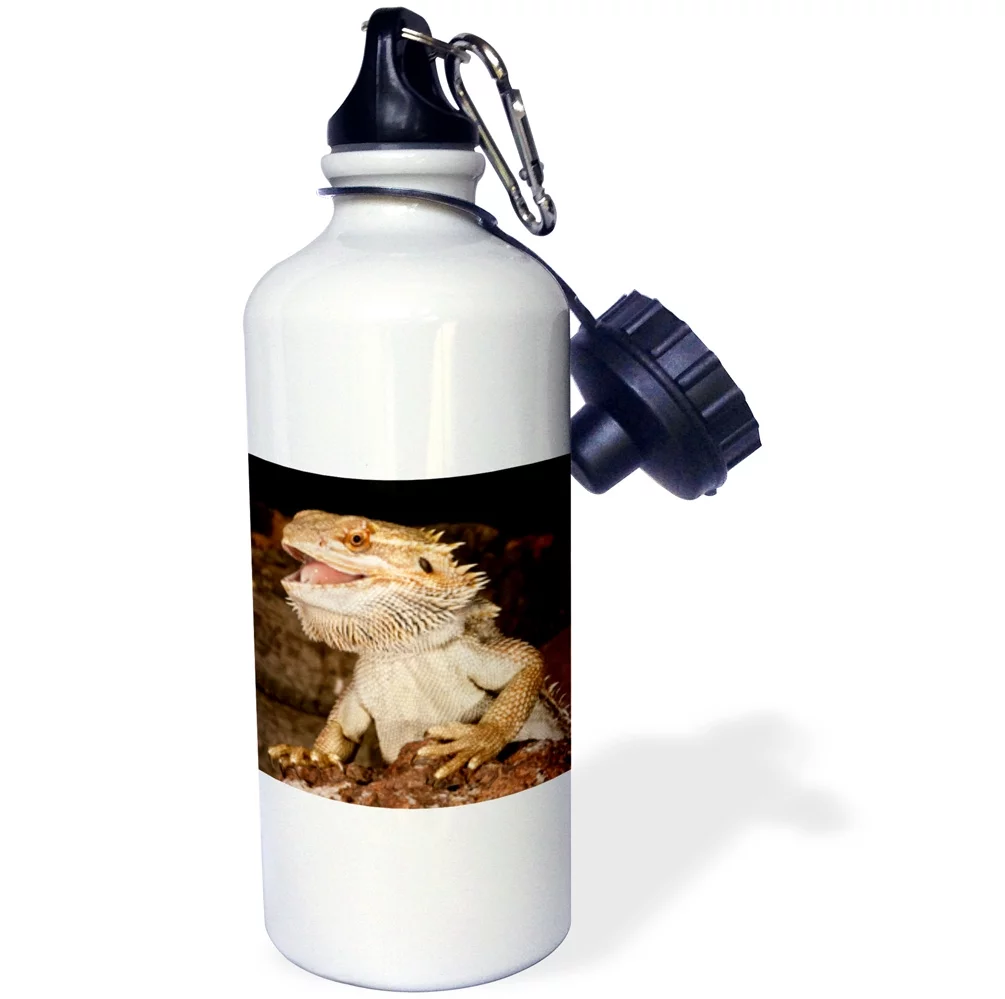 3dRose Bearded Dragon lizard, Native to Australia - NA02 DNO0680 - David Northcott, Sports Water Bottle, 21oz