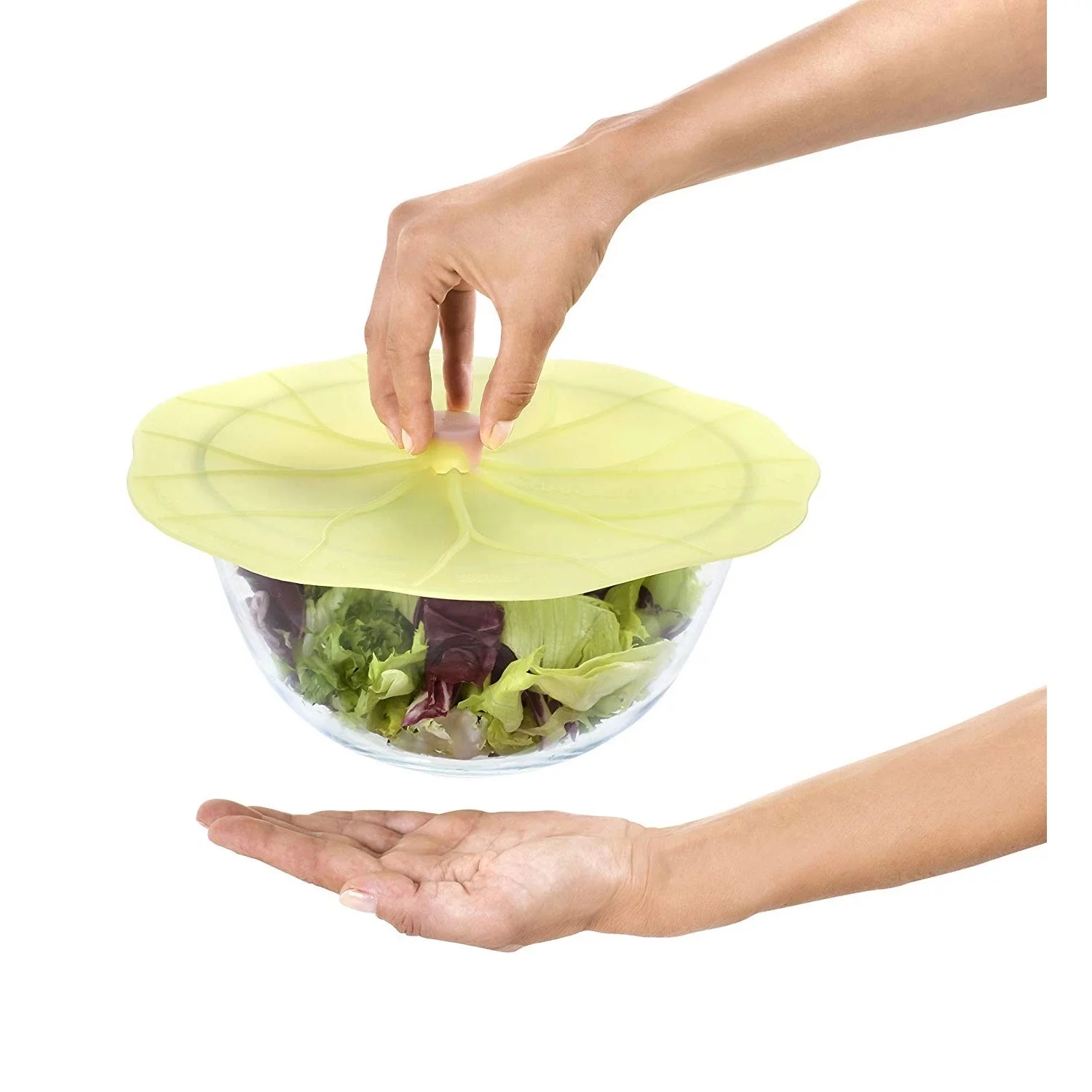 Airtight Silicone Lids Lilypad Gift Set of 4