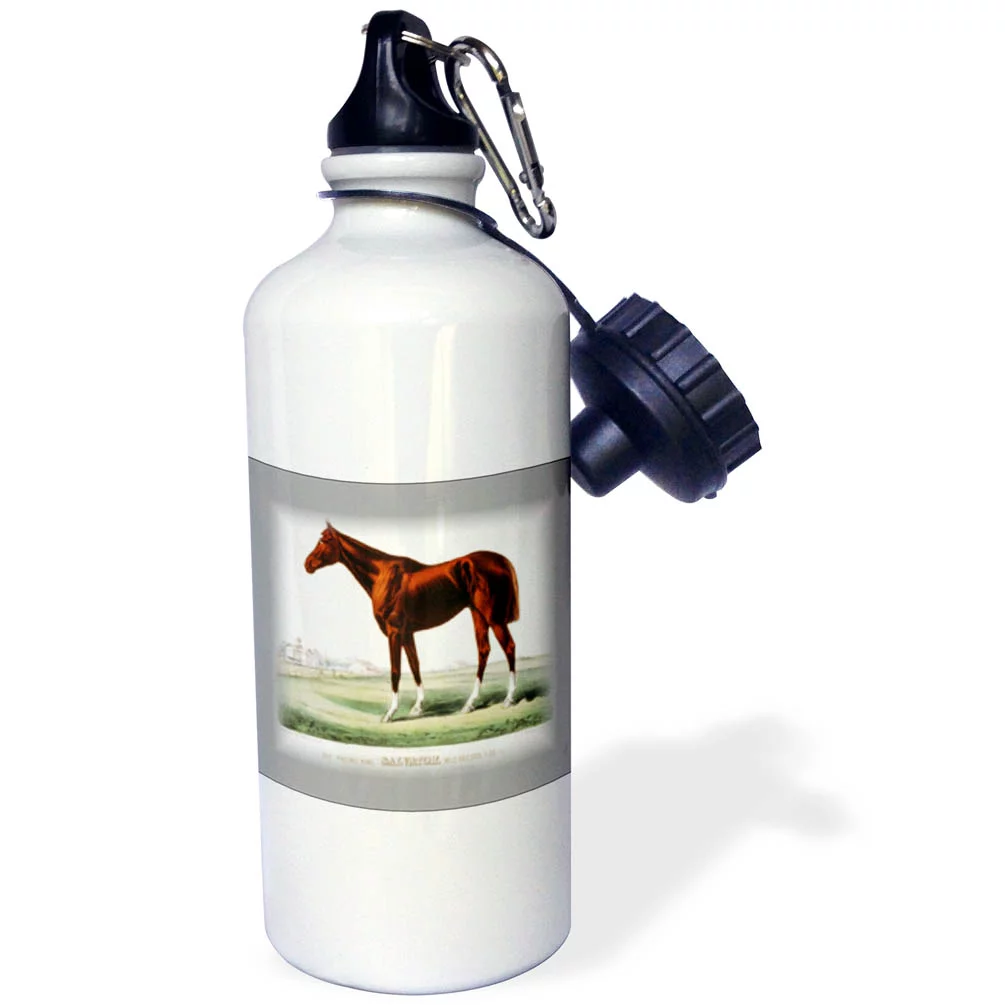 Beautiful Brown Race Horse In Field 21 oz Sports Water Bottle wb-38914-1