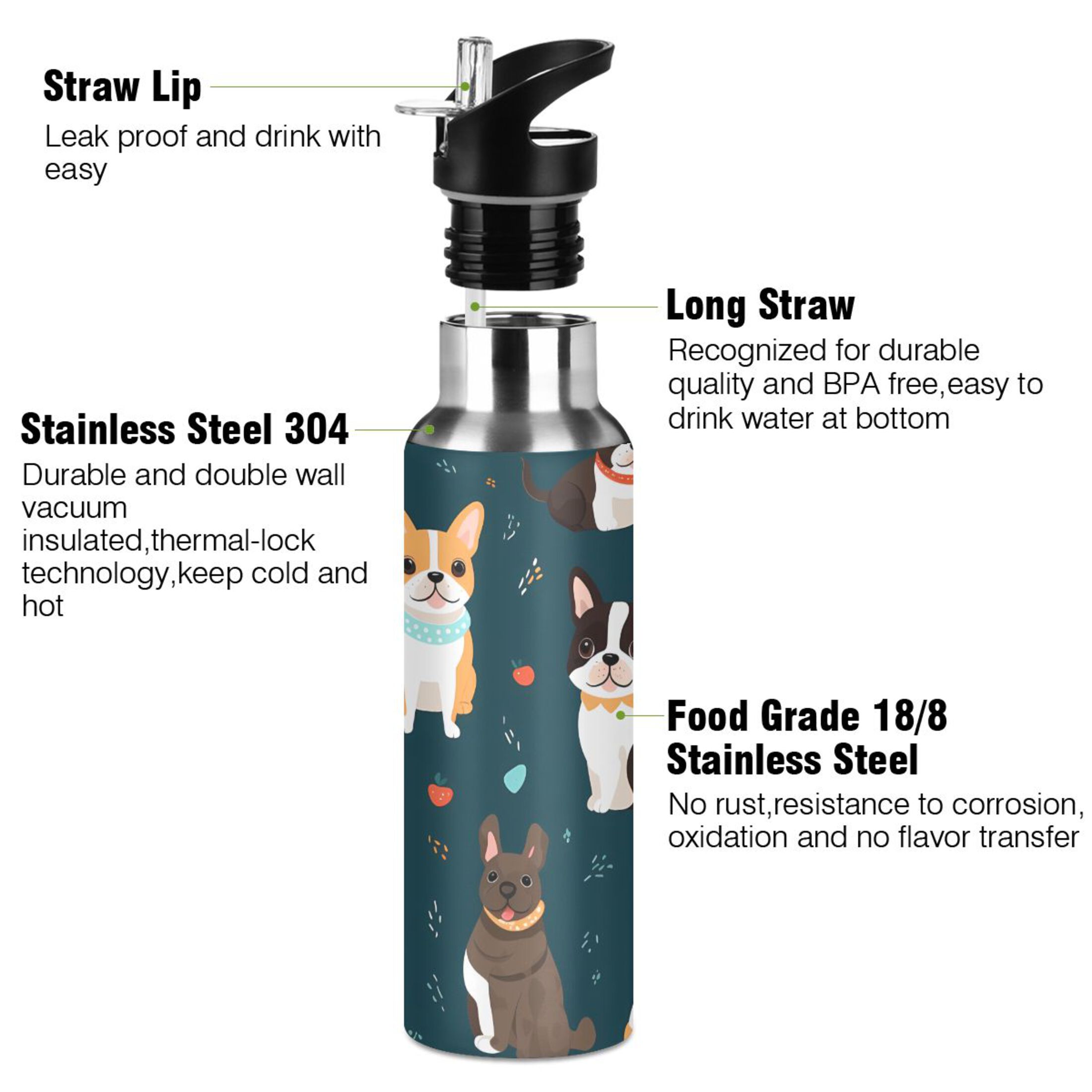 Cartoon French Bulldog Water Bottles Insulated Thermos Kids Stainless Steel Bottle with Straw Lid Flask Leakproof for Sports Gym 20 oz