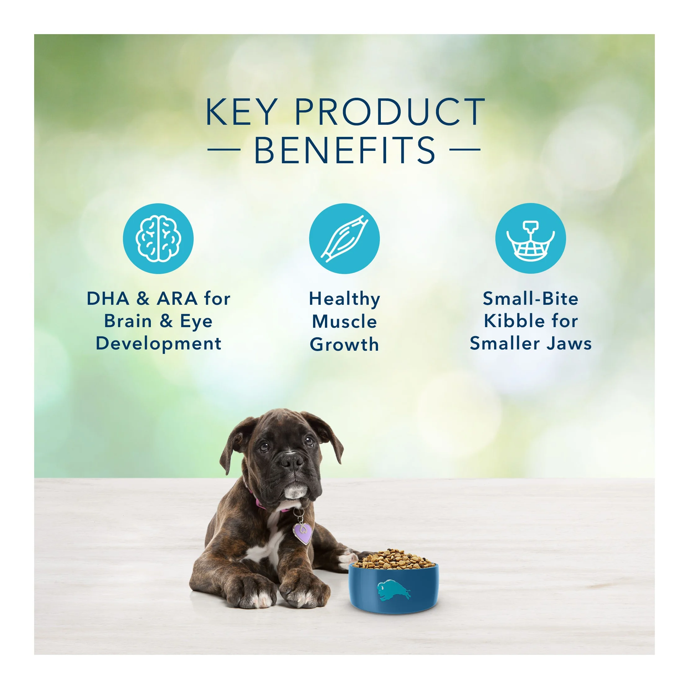 Freedom Grain Free with Chicken, Peas & Potatoes Puppy Dry Dog Food - 11lbs