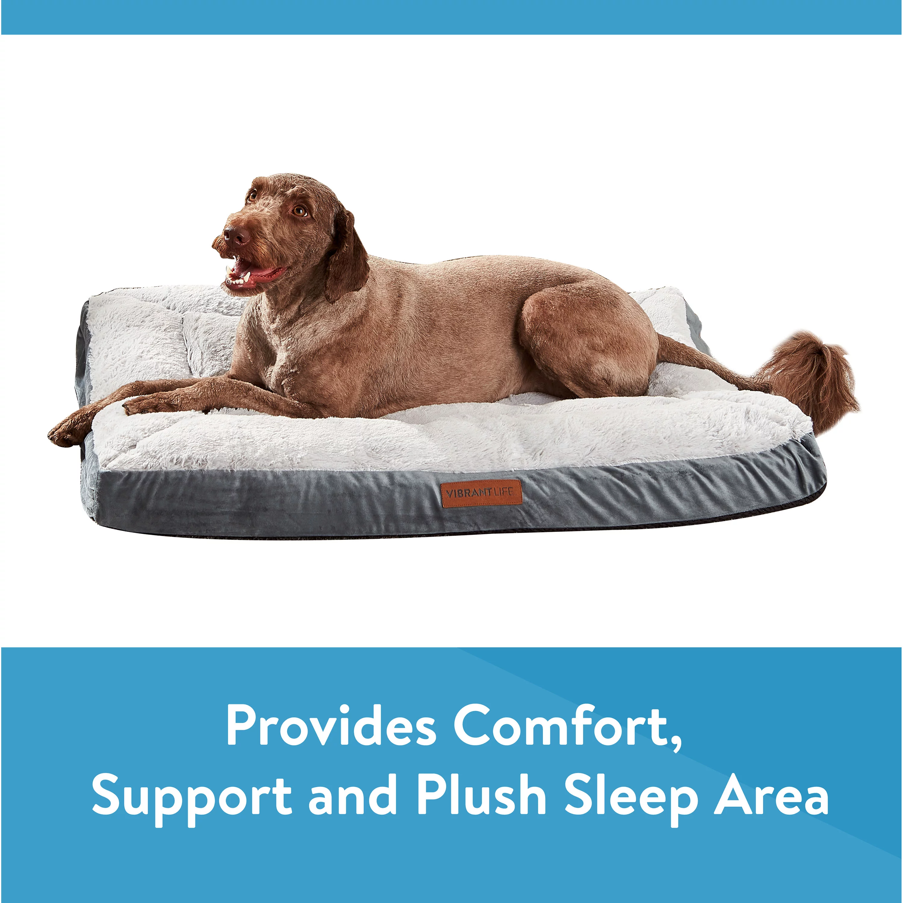 Vibrant Life Large Deluxe Pillow Top Dog Bed, Gray