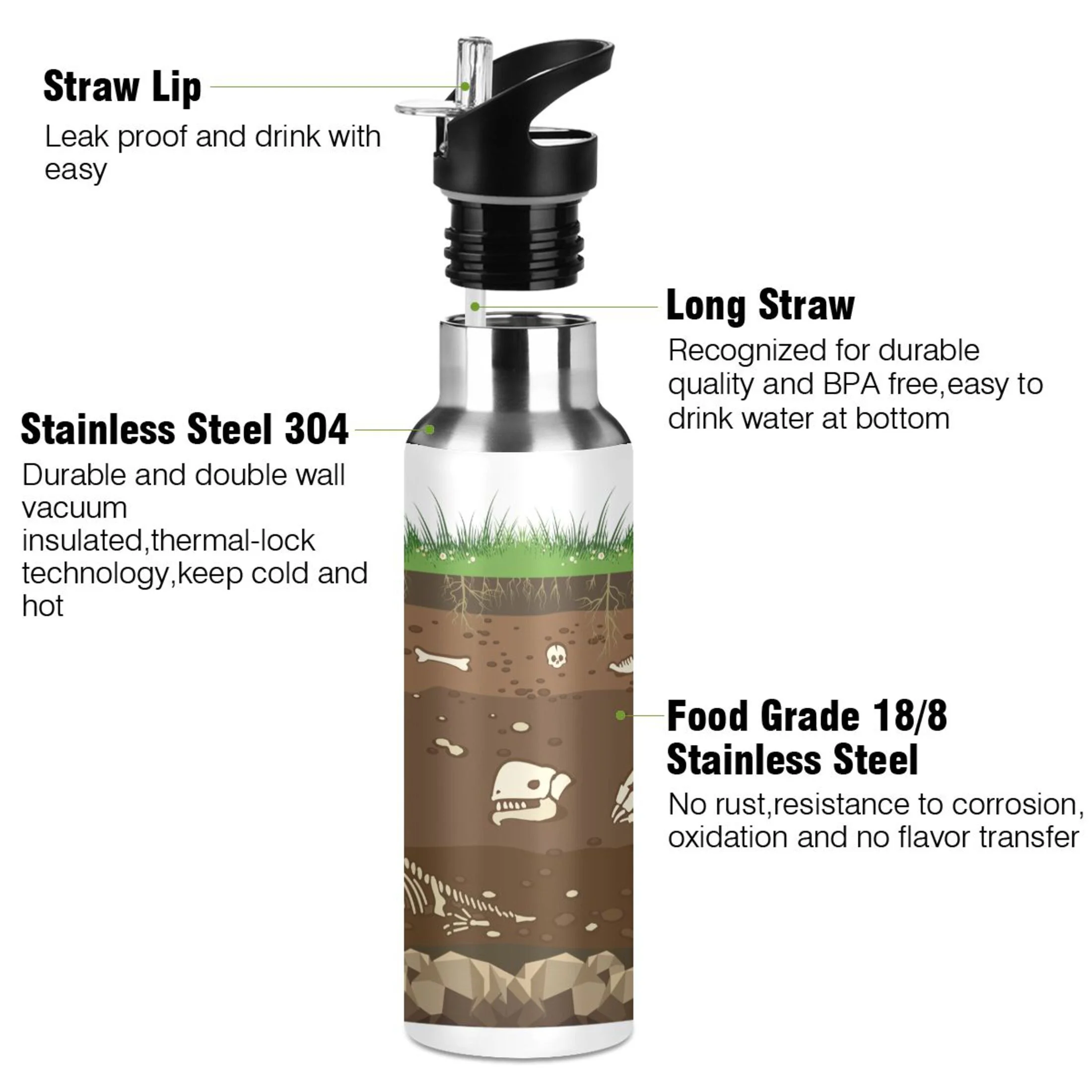 Stainless Steel Water Bottle Dinosaur Bones with Straw Lid Vacuum Insulated Keeps Hot and Cold Leak Proof Flask Jug for Gym Travel Sports Cycling Outdoor 20 OZ