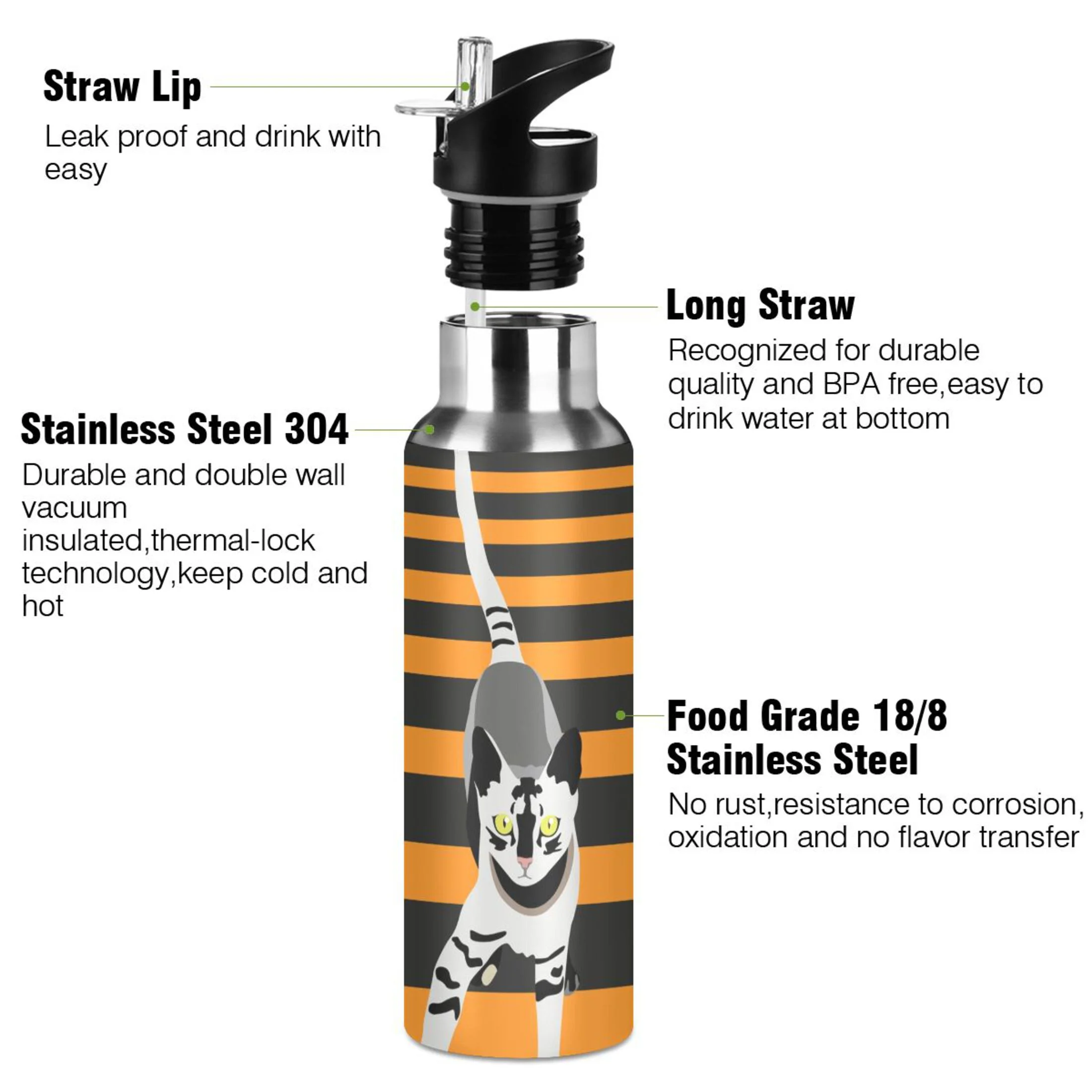 Stainless Steel Water Bottle Fashion Art Cat Stripe with Straw Lid Vacuum Insulated Leak Proof Flask Jug for Gym Travel Sports Cycling Outdoor 20 OZ