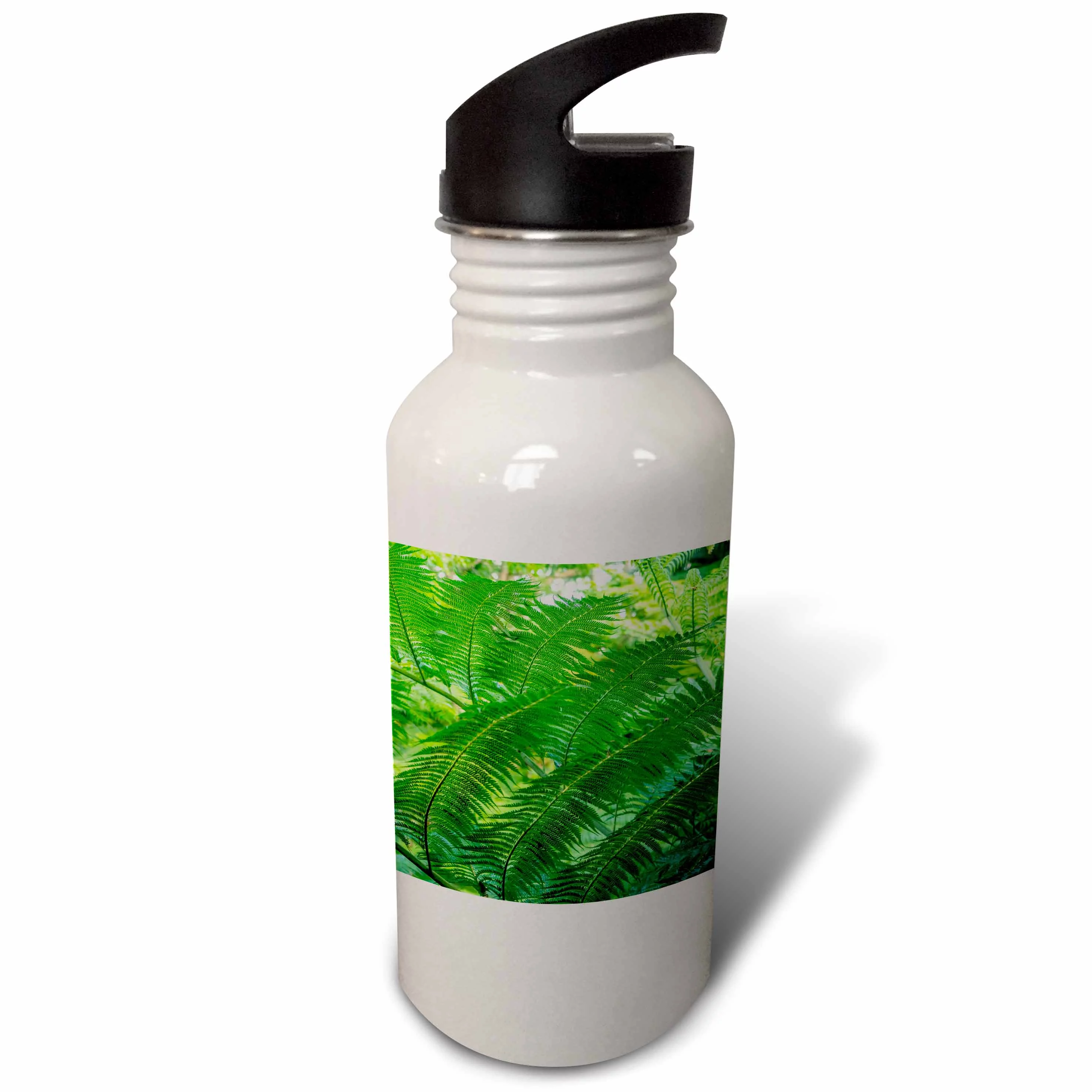 Fiji, Taveuni Island. Close up of green ferns. Flip Straw 21oz Water Bottle wb-345584-2