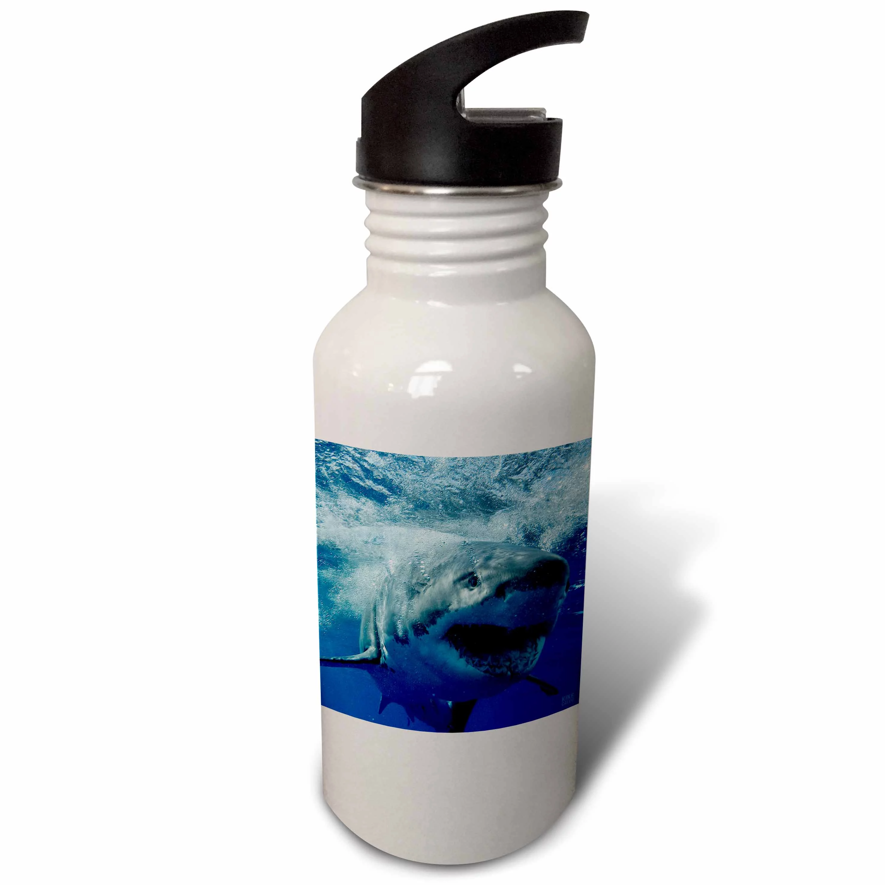 Great White Shark 21 oz Sports Water Bottle wb-10587-1