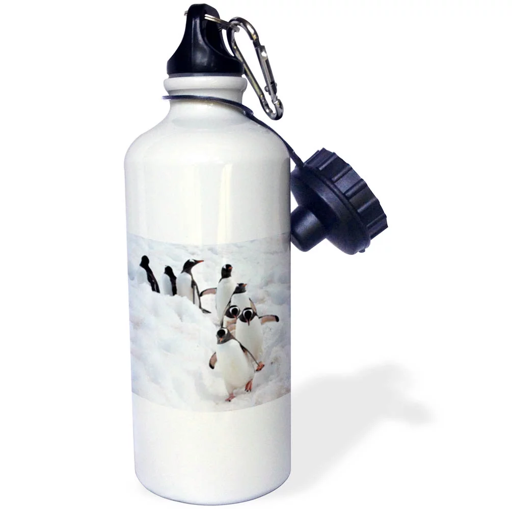 3dRose Antarctica, Cuverville Island, Gentoo Penguins walking their trail - Straw Water Bottle, 21-ounce
