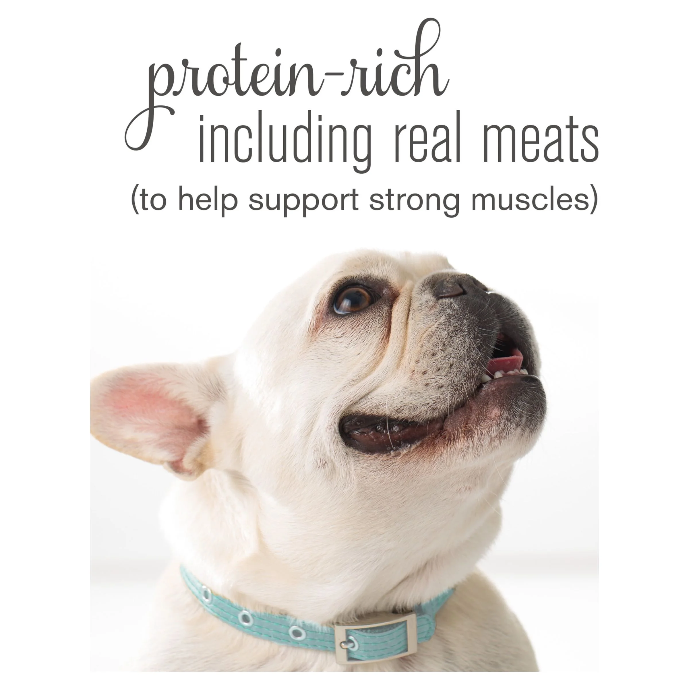 Purina Bella Wet Dog Food Variety Pack, 3.5 oz Trays (24 Pack)