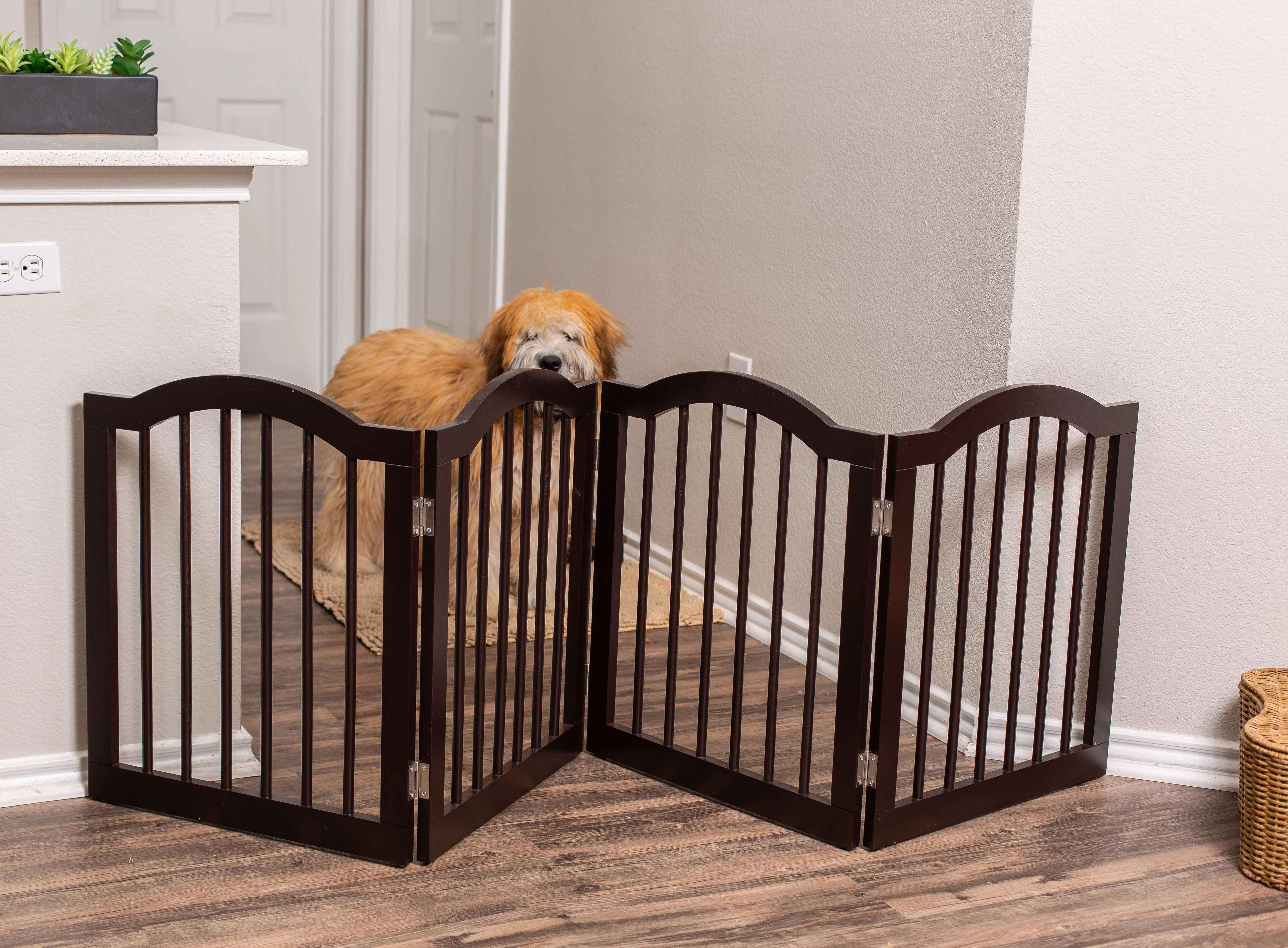 Internet's Best Dog Gate With Arched Top, 4 Panel 24 Inch