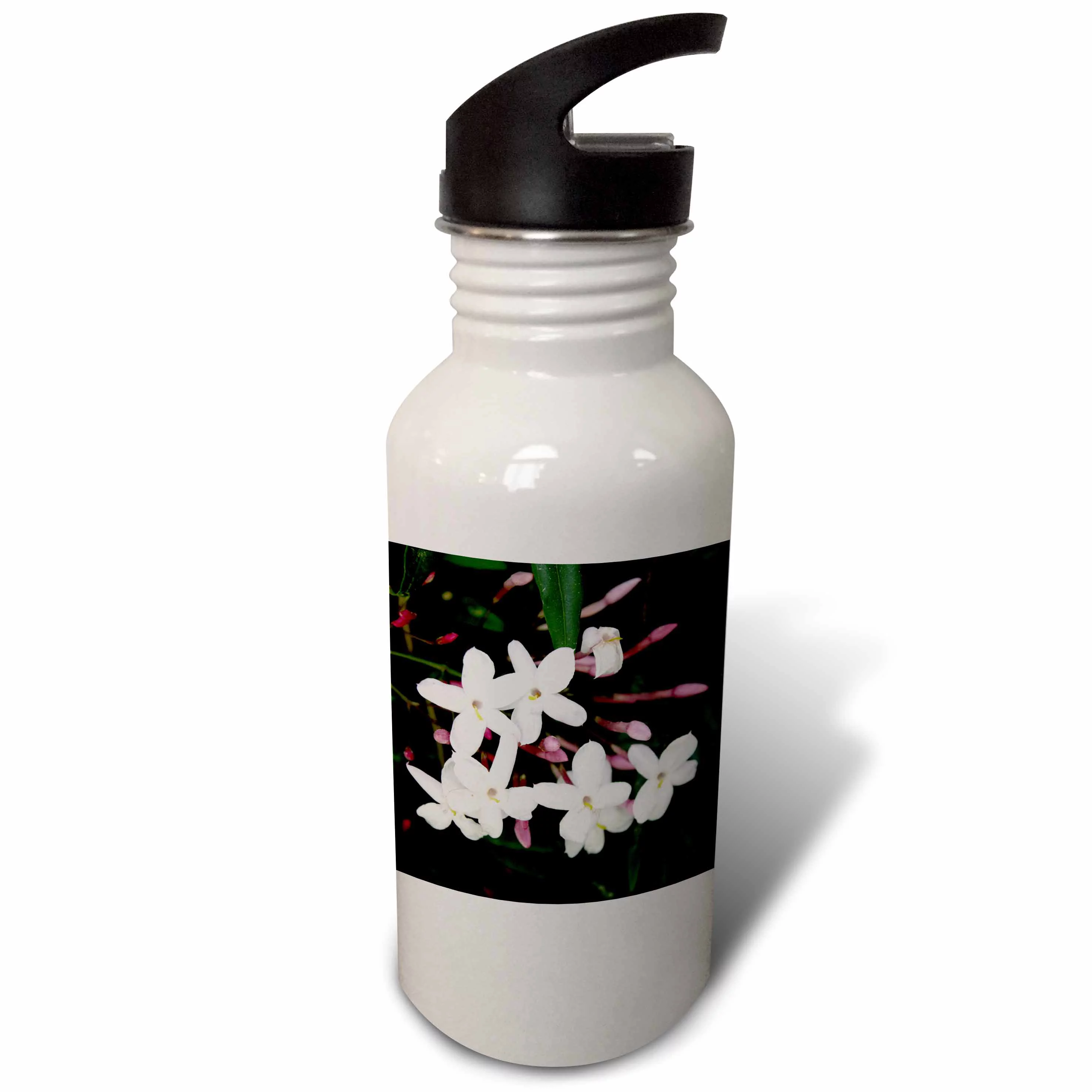 3dRose Blossom White Jasmine, Sports Water Bottle, 21oz