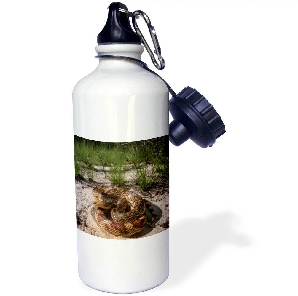 3dRose Florida Pine Snake, Telfair County. Georgia, USA - Water Bottle, 21-ounce
