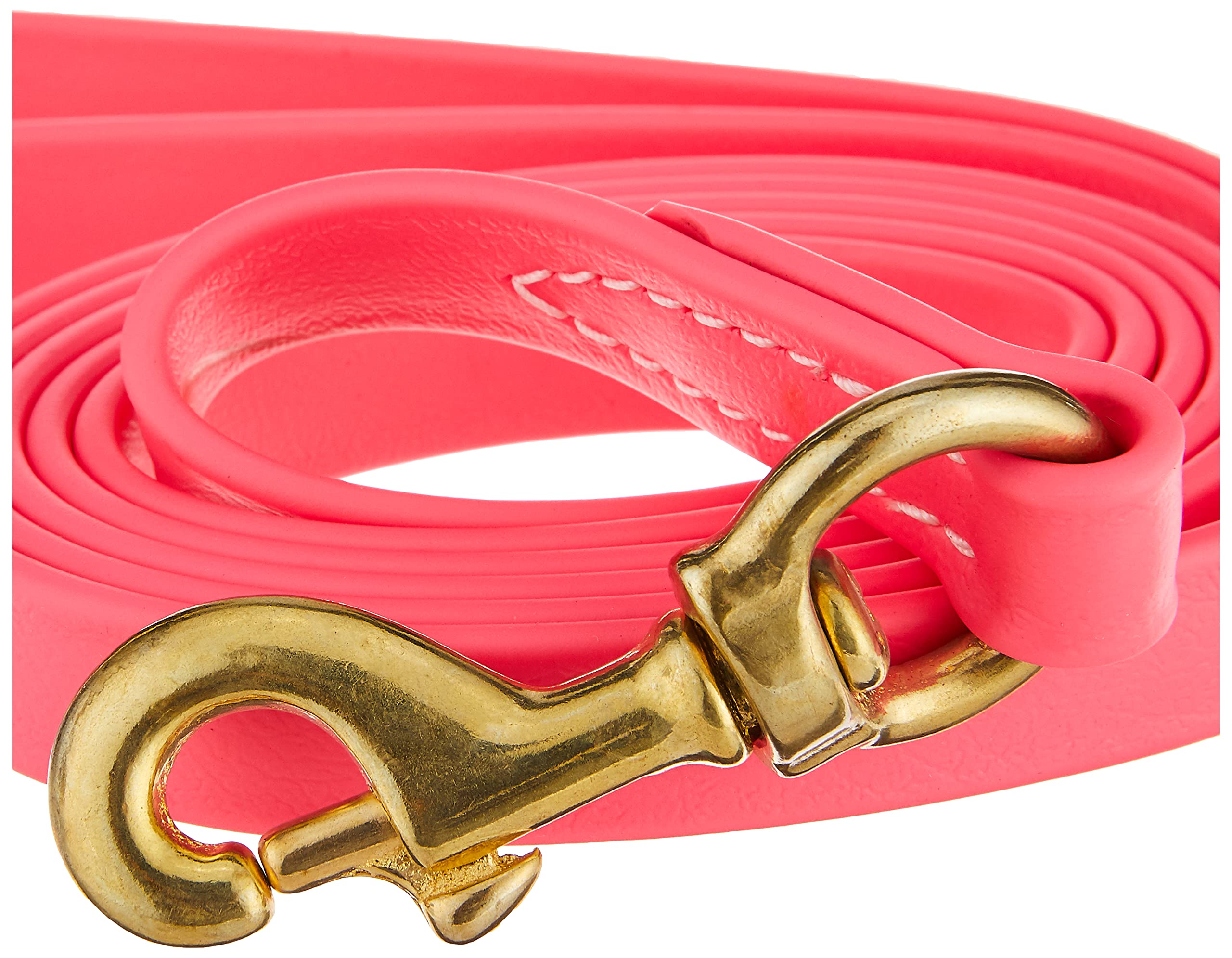 J&J Dog Supplies Biothane Dog Leash, 3/4