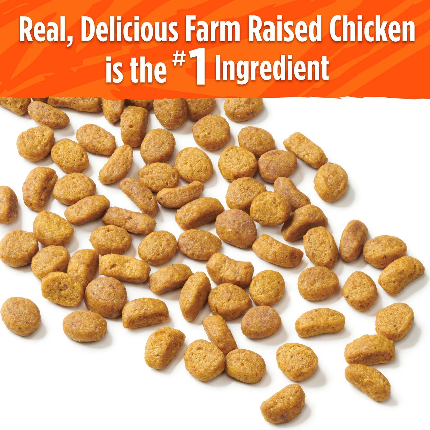 Purina Cat Chow Naturals High Protein Dry Cat Food with Real Chicken Recipe (20 lb. bag)