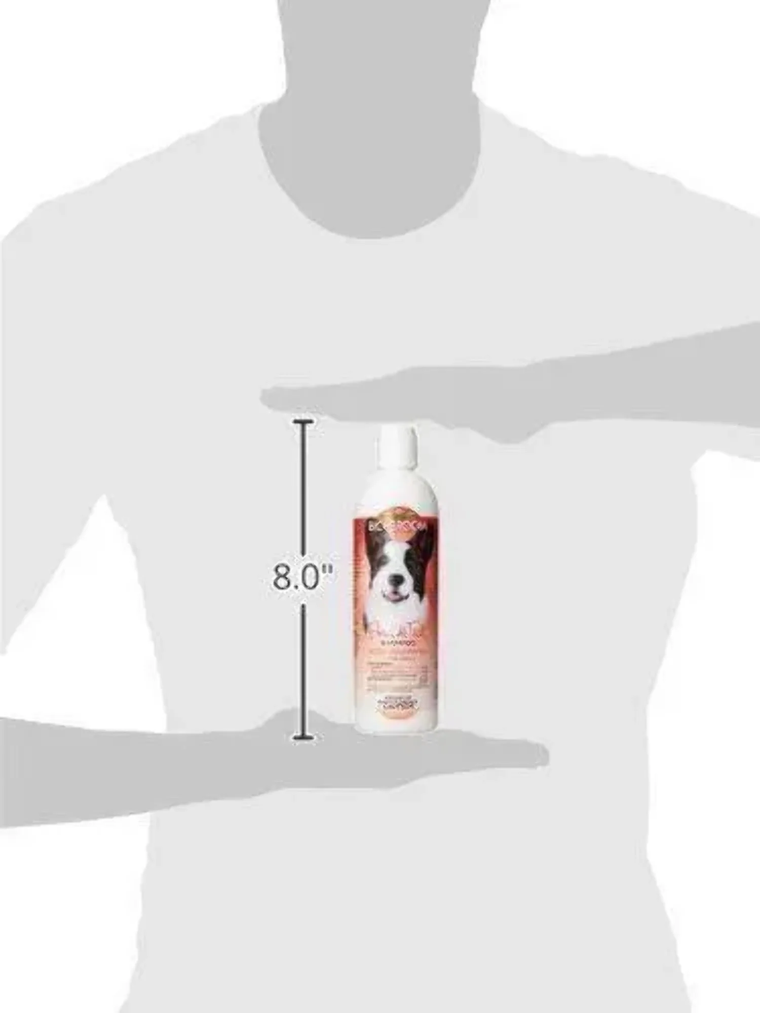 Bio-groom flea & tick shampoo, 12-oz bottle