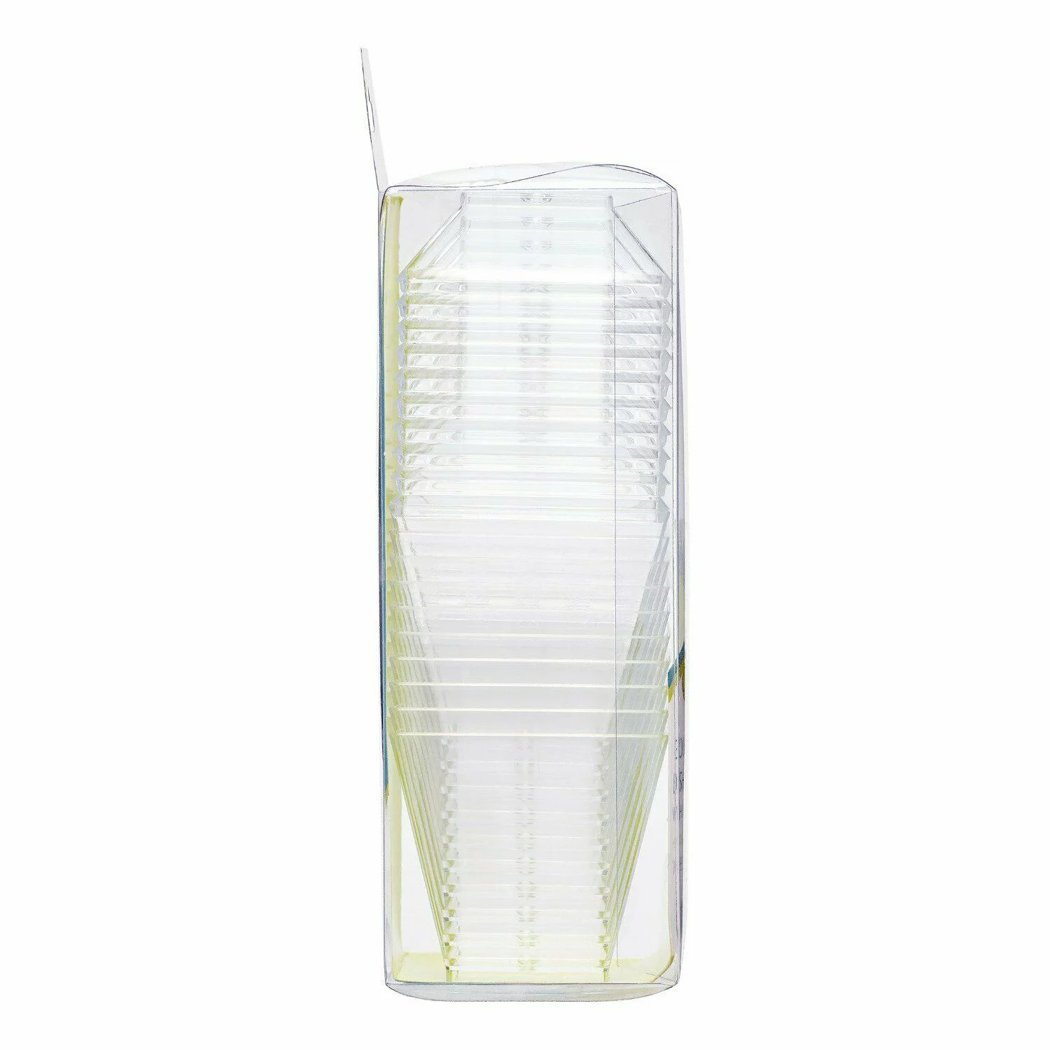 Lillian Table settings Mini Clear Plastic Gourmet Dish Petite 10 Count [BULK] (100 Pack)