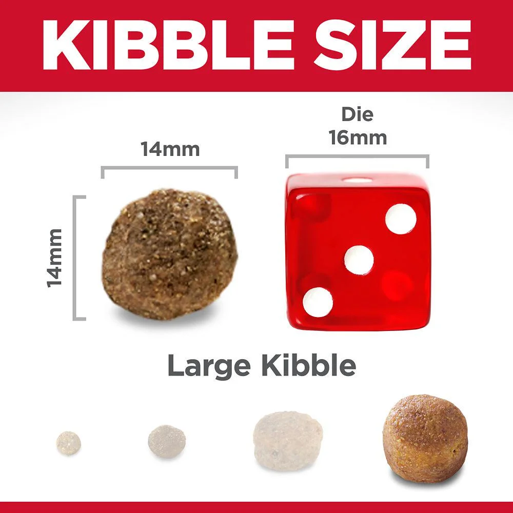 Hill's Science Diet Large Breed Adult Lamb and Brown Rice Recipe Dry Dog Food