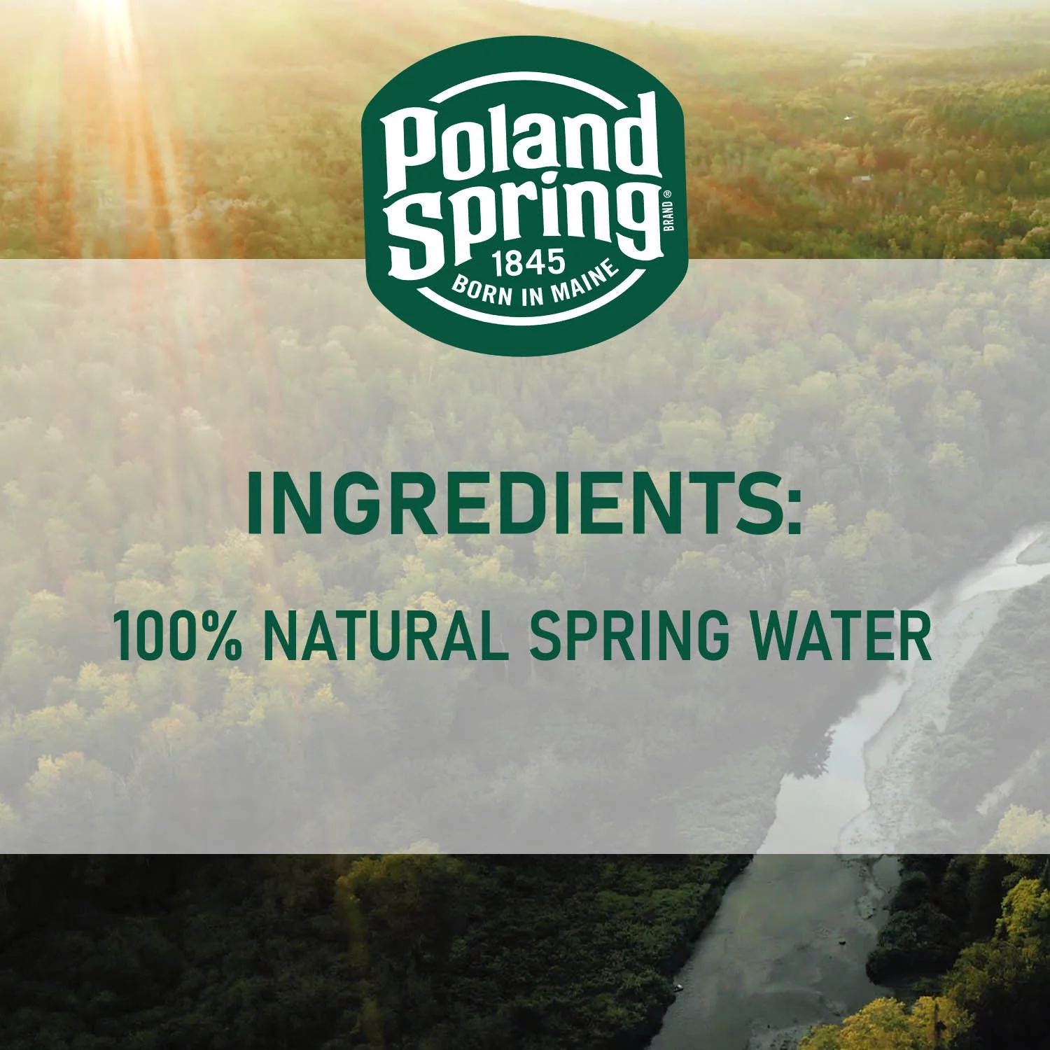 Poland Spring 100% Natural Spring Water, 16.9 Fl Oz, 40 Count Bottles