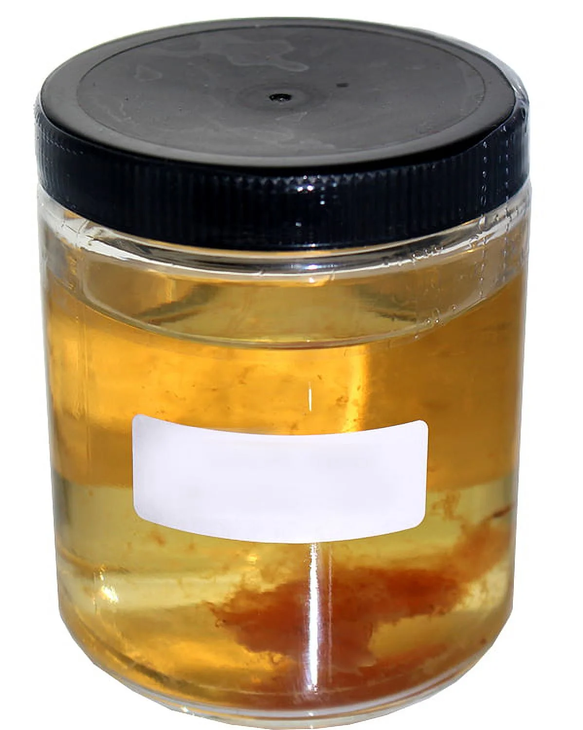 Supreme White Wine Mother of Vinegar (New & Improved Mother)