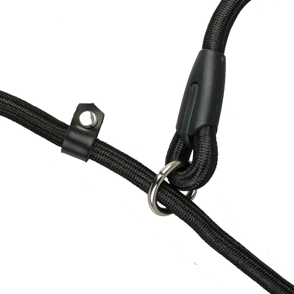 5ft Slip Lead Dog Leash Nylon Rolled Rope Pet Collar Obedience Recall Training