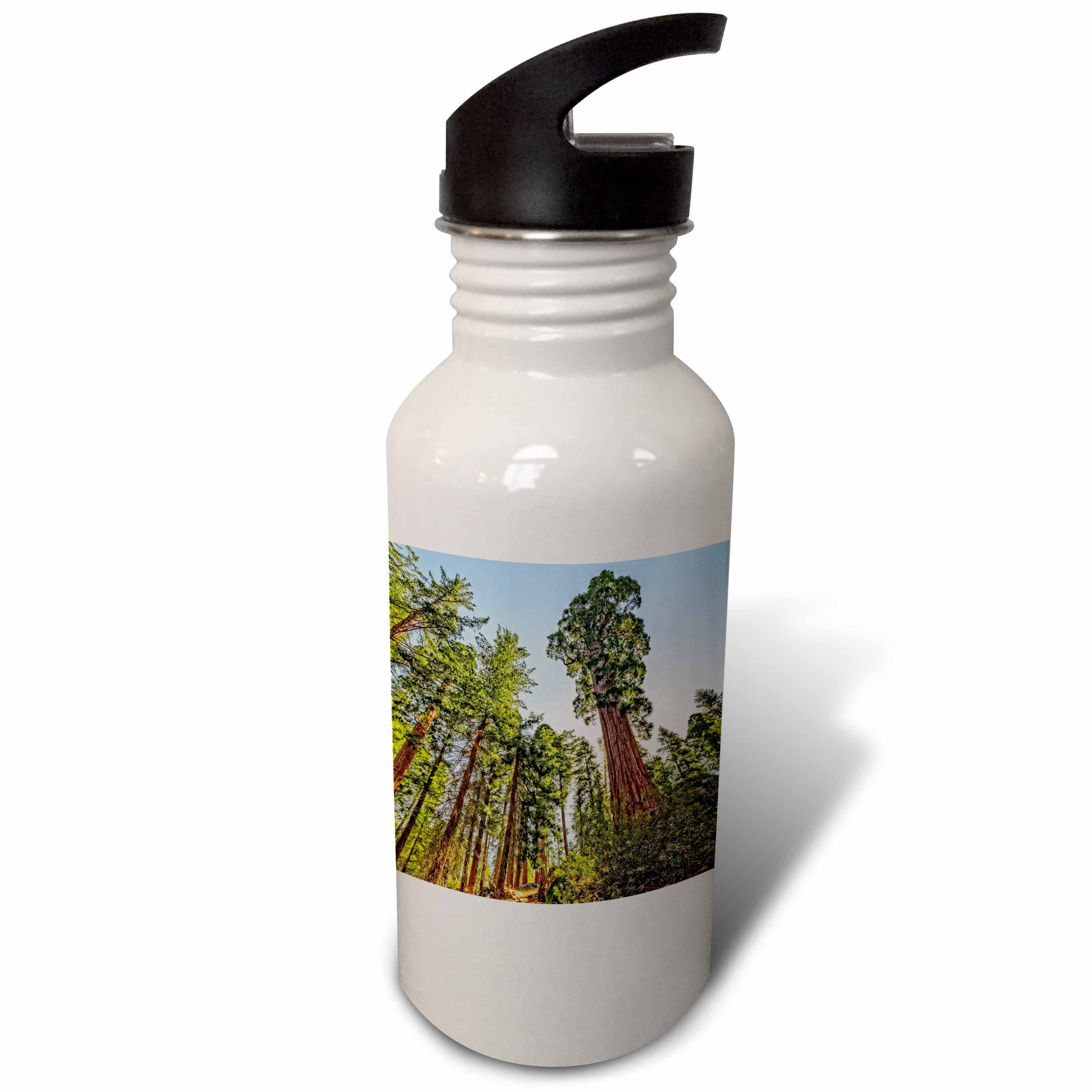 Mighty Sequoia 21 oz Sports Water Bottle wb-186826-1