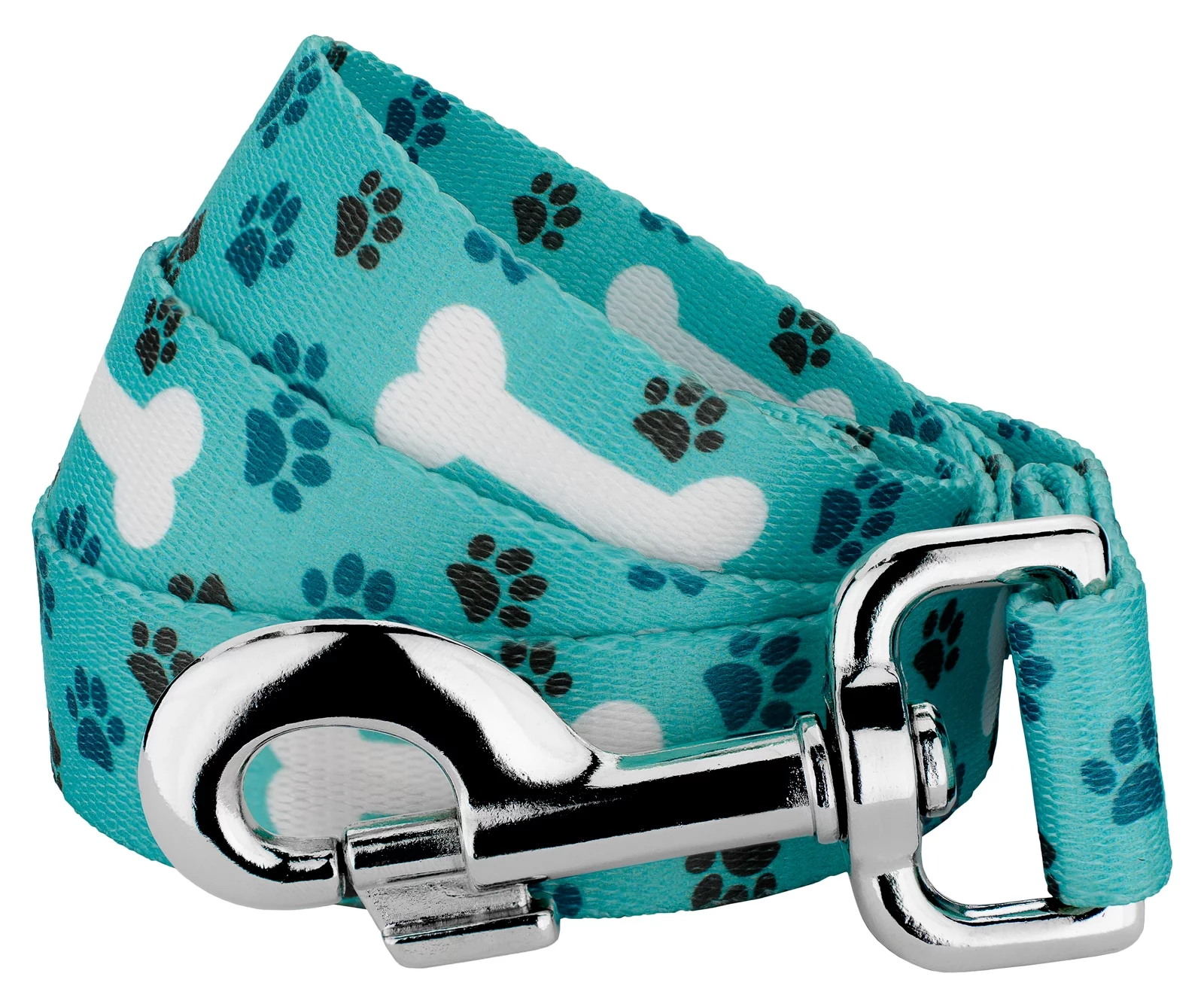 Country Brook Design - 1 inch Oh My Dog Leash, 6 Feet