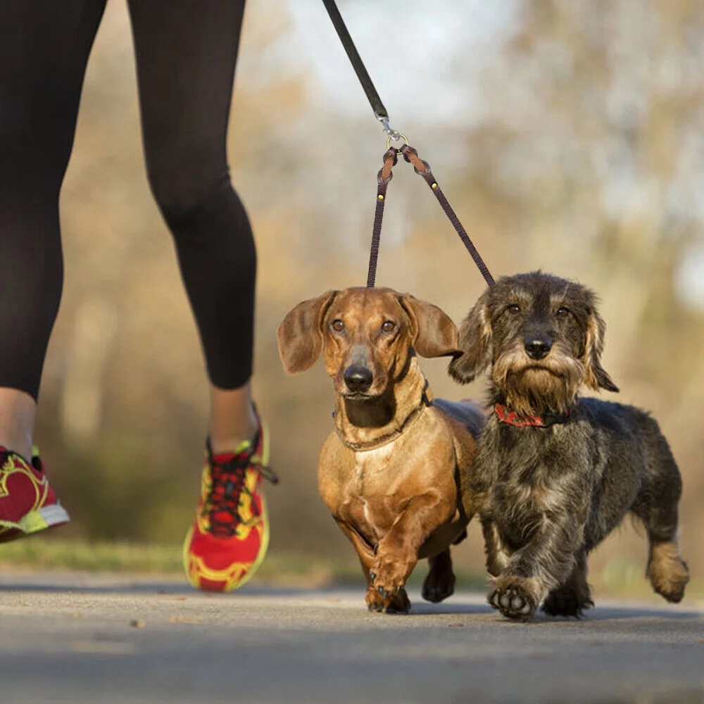 2 Way Braided Leather Dog Leash Double Coupler Splitter Walking Lead Twin Dogs
