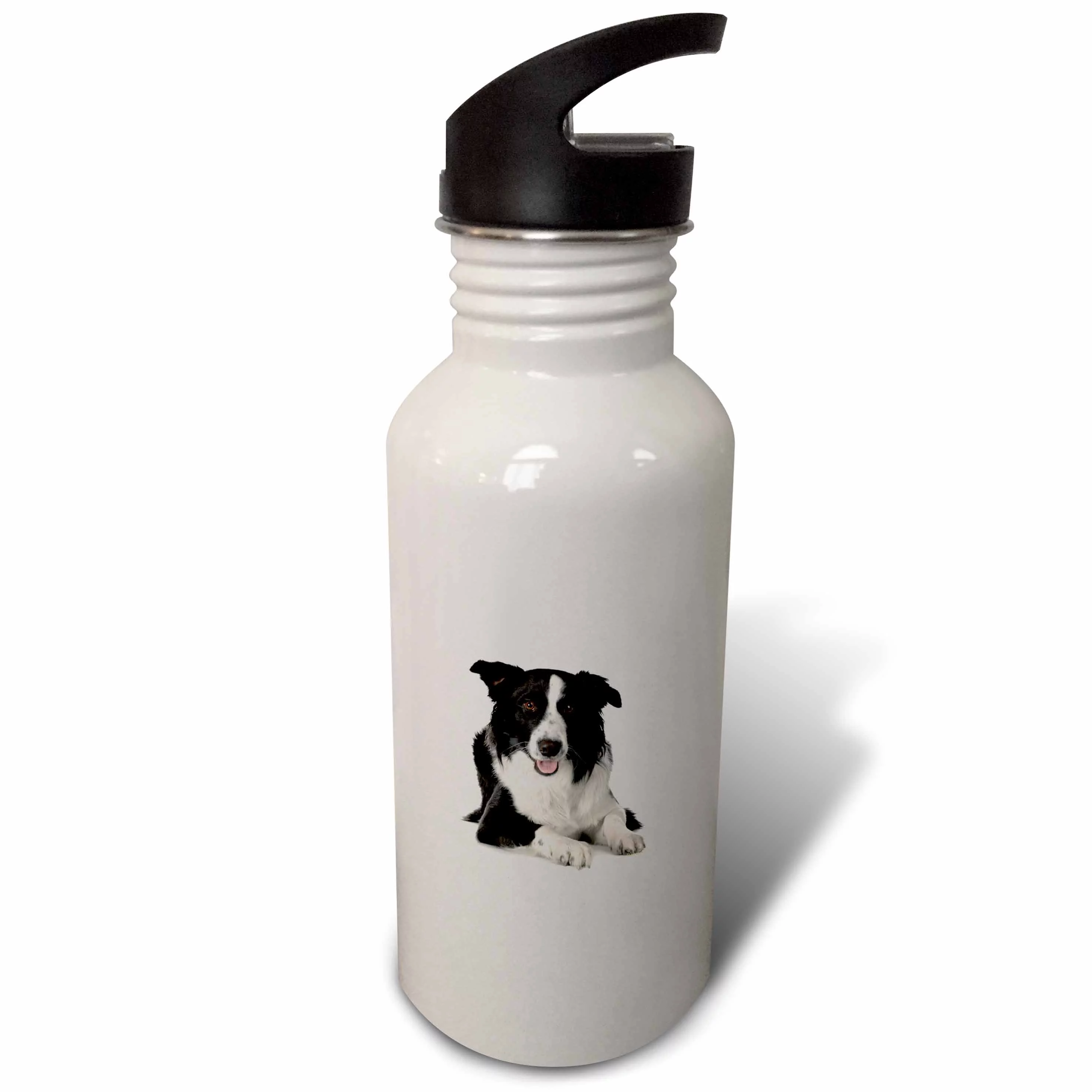 Border Collie 21 oz Sports Water Bottle wb-21077-1