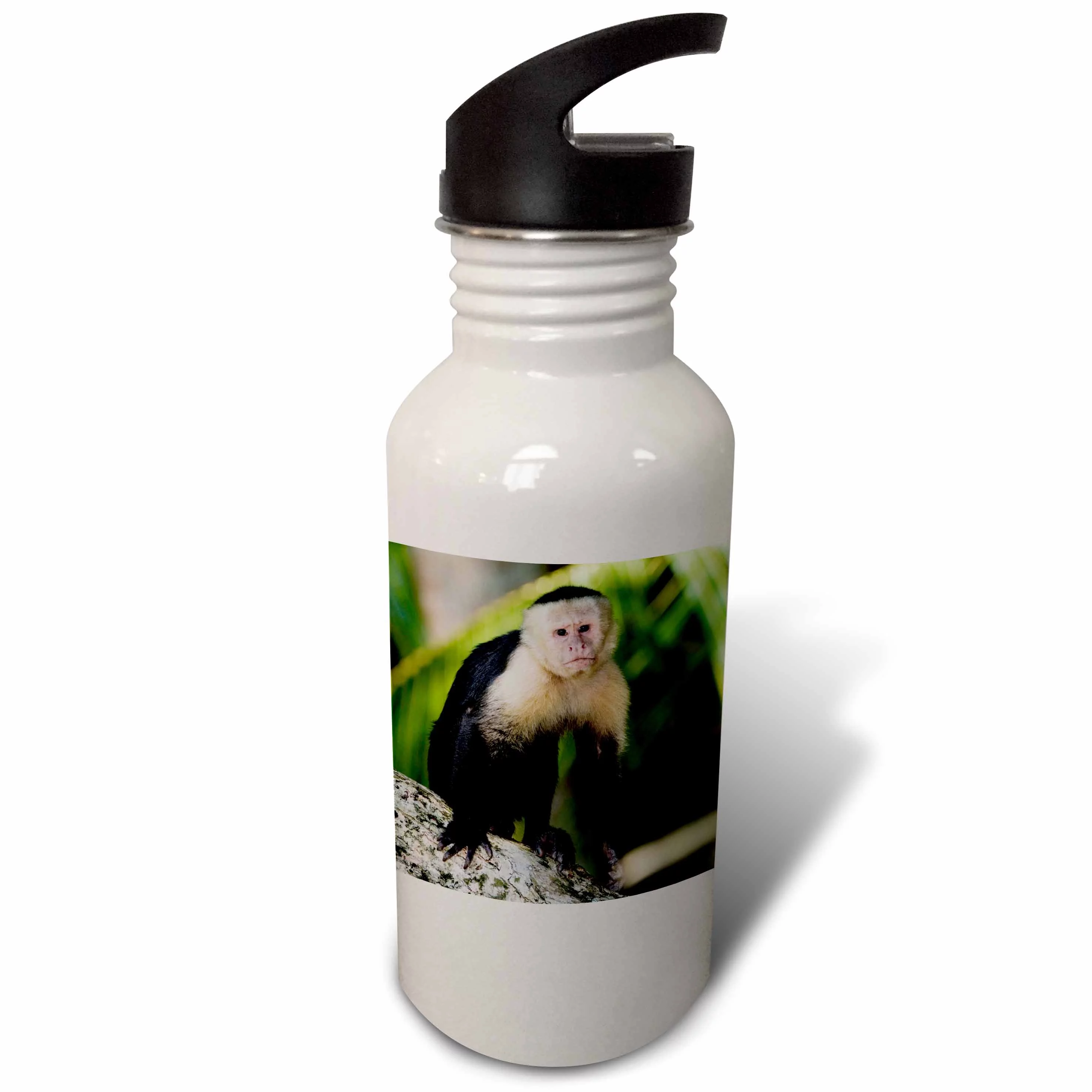 3dRose White-faced Capuchin monkey, Costa Rica - NA02 RNU0827 - Rolf Nussbaumer, Sports Water Bottle, 21oz
