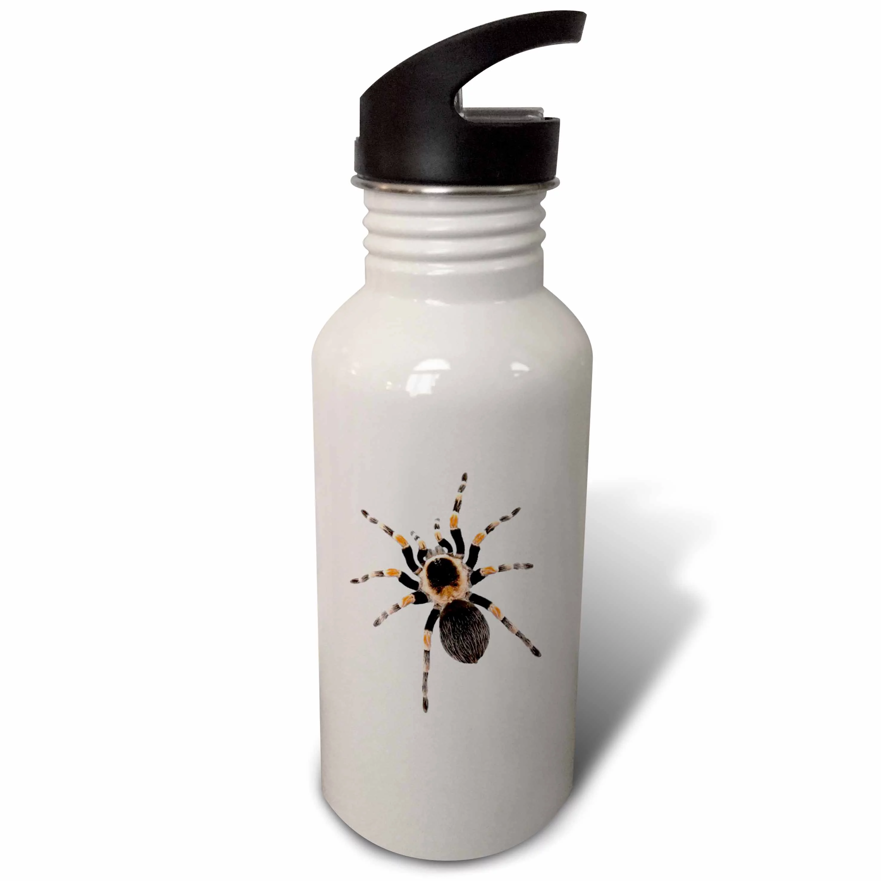 tarantula picture of giant hairy tarantula on white background 21 oz Sports Water Bottle wb-201874-1