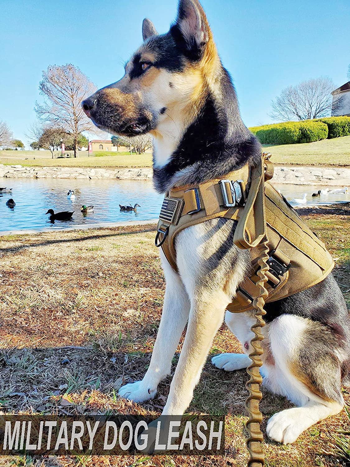 JiePai Tactical Dog Training Bungee Leash Military Dog Leash Quick Release Elastic Leads Rope with 2 Control Handle,4ft for Medium Large Dogs