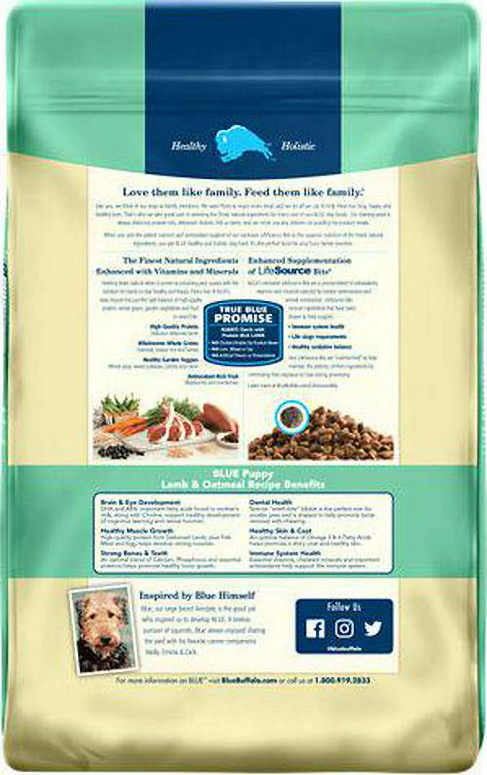 Blue Buffalo Life Protection Puppy Lamb and Oatmeal Recipe Dry Dog Food