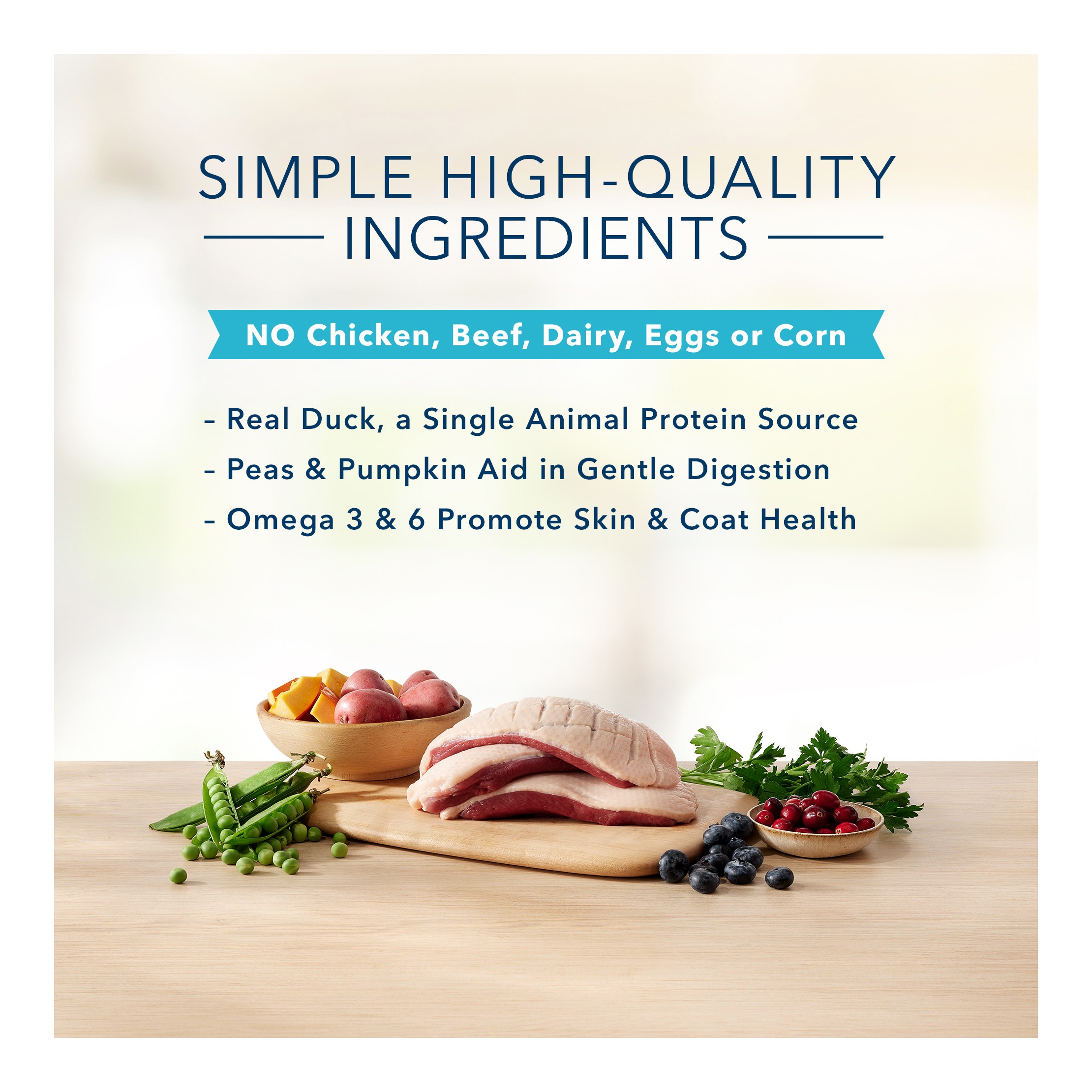 Basics Skin & Stomach Care Grain Free Natural Duck & Potato Adult Dry Dog Food - 22lbs