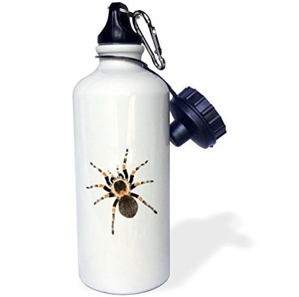 tarantula picture of giant hairy tarantula on white background 21 oz Sports Water Bottle wb-201874-1