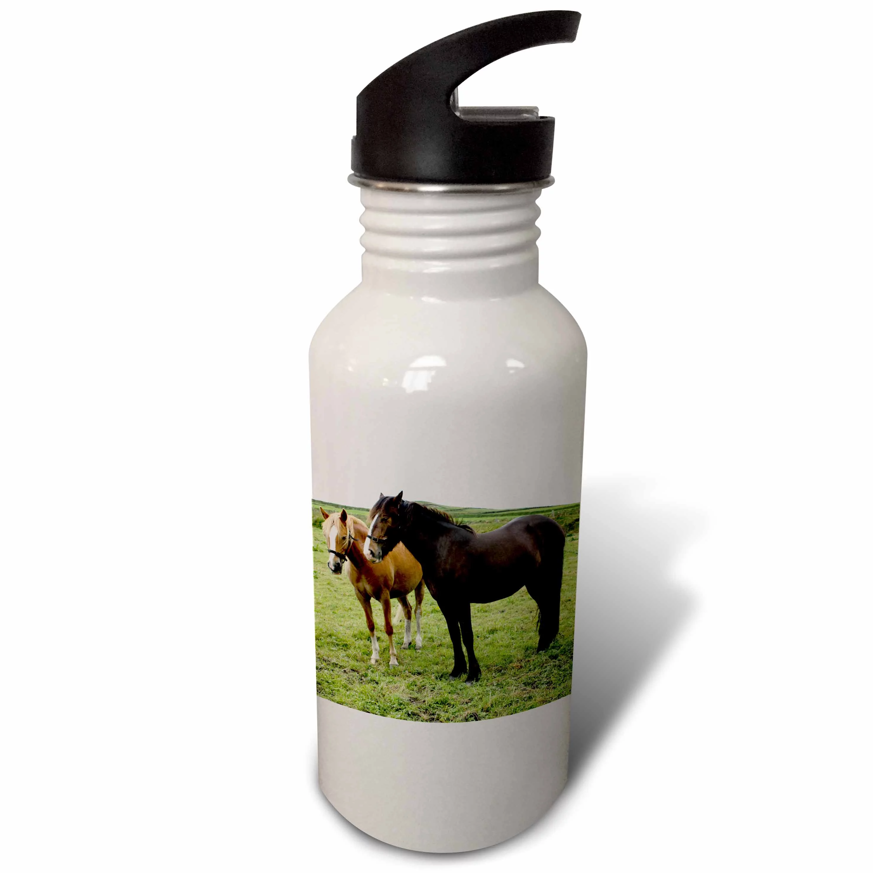 Beautiful Horses in a Field, Ring of Kerry, Ireland 21 oz Sports Water Bottle wb-100302-1