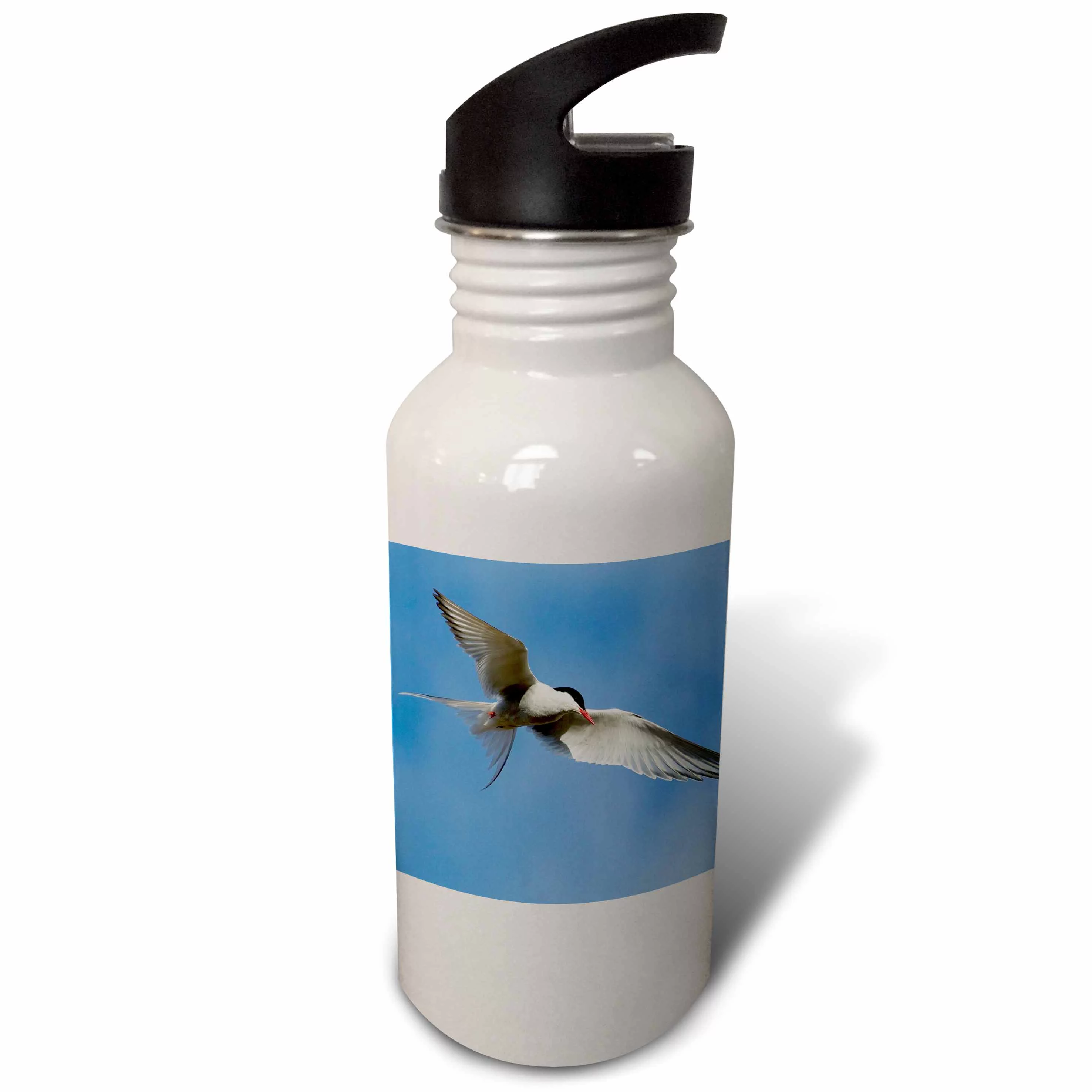 Arctic Tern in flight. Flip Straw 21oz Water Bottle wb-314498-2