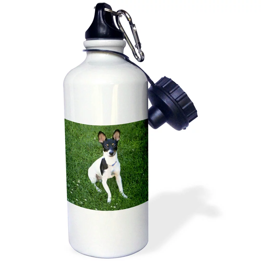 3dRose Toy Fox Terrier 1, Sports Water Bottle, 21oz