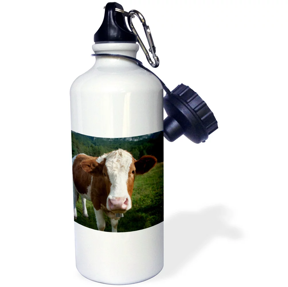 3dRose Simmental cow, Sports Water Bottle, 21oz