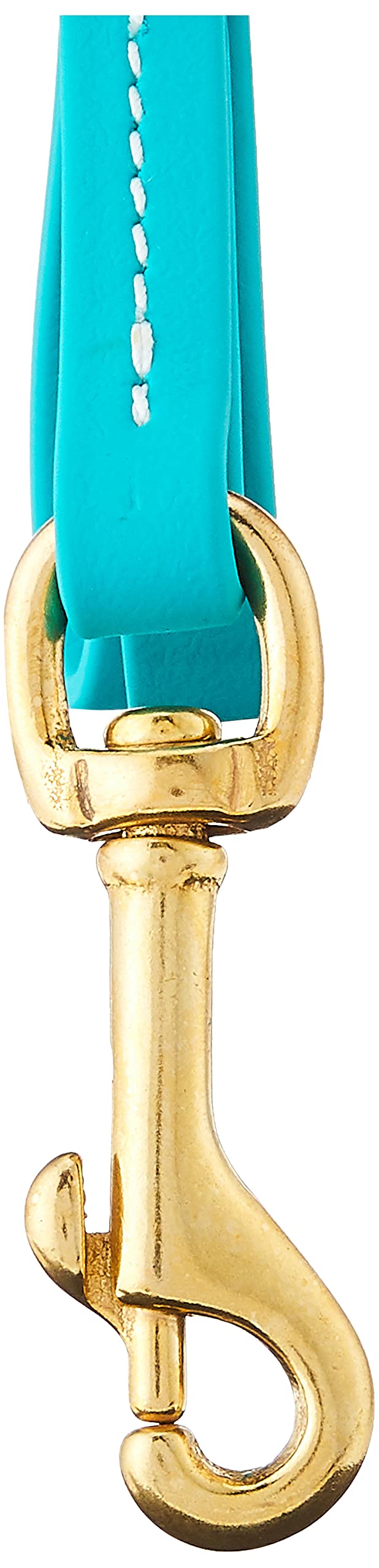 J&J Dog Supplies Biothane Dog Leash, 1/2