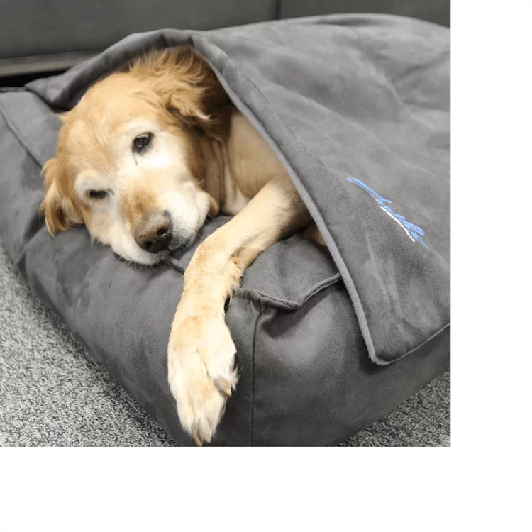 Soothe™ Anti-Anxiety Weighted Dog Blanket