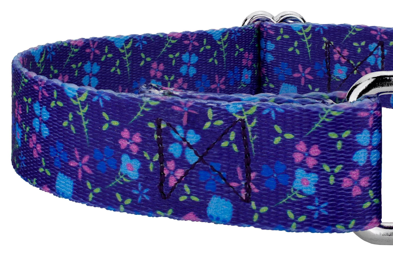 Country Brook Design® Blueberry Fields Martingale Dog Collar and Leash, Medium