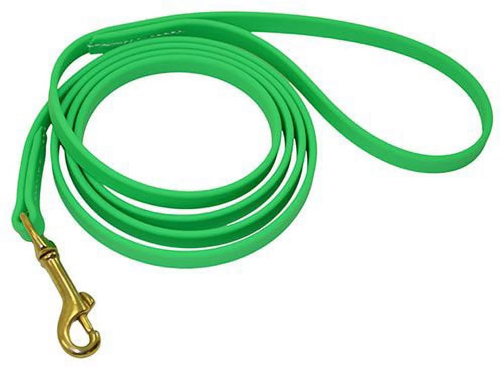 J&J Dog Supplies Biothane Dog Leash, 1/2