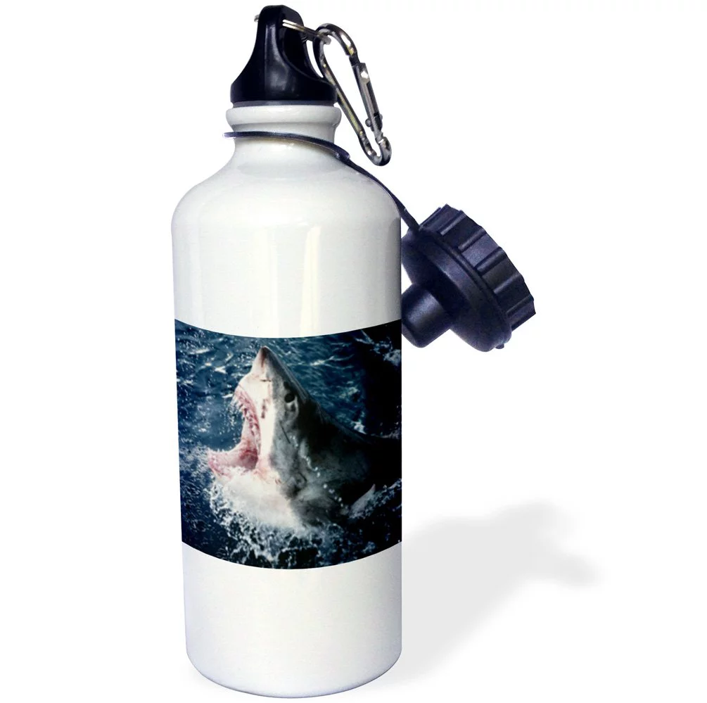 South Africa, Elevated Shark mouth open  21 oz Sports Water Bottle wb-207247-1