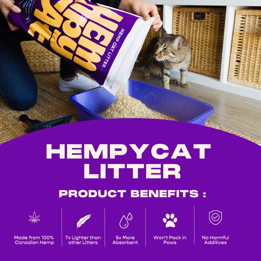HempyCat Natural Hemp Cat Litter (2GAL / 1KG)