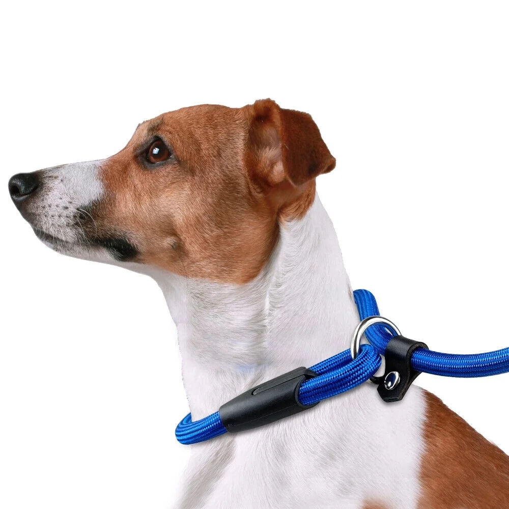 5ft Slip Lead Dog Leash Nylon Rolled Rope Pet Collar Obedience Recall Training