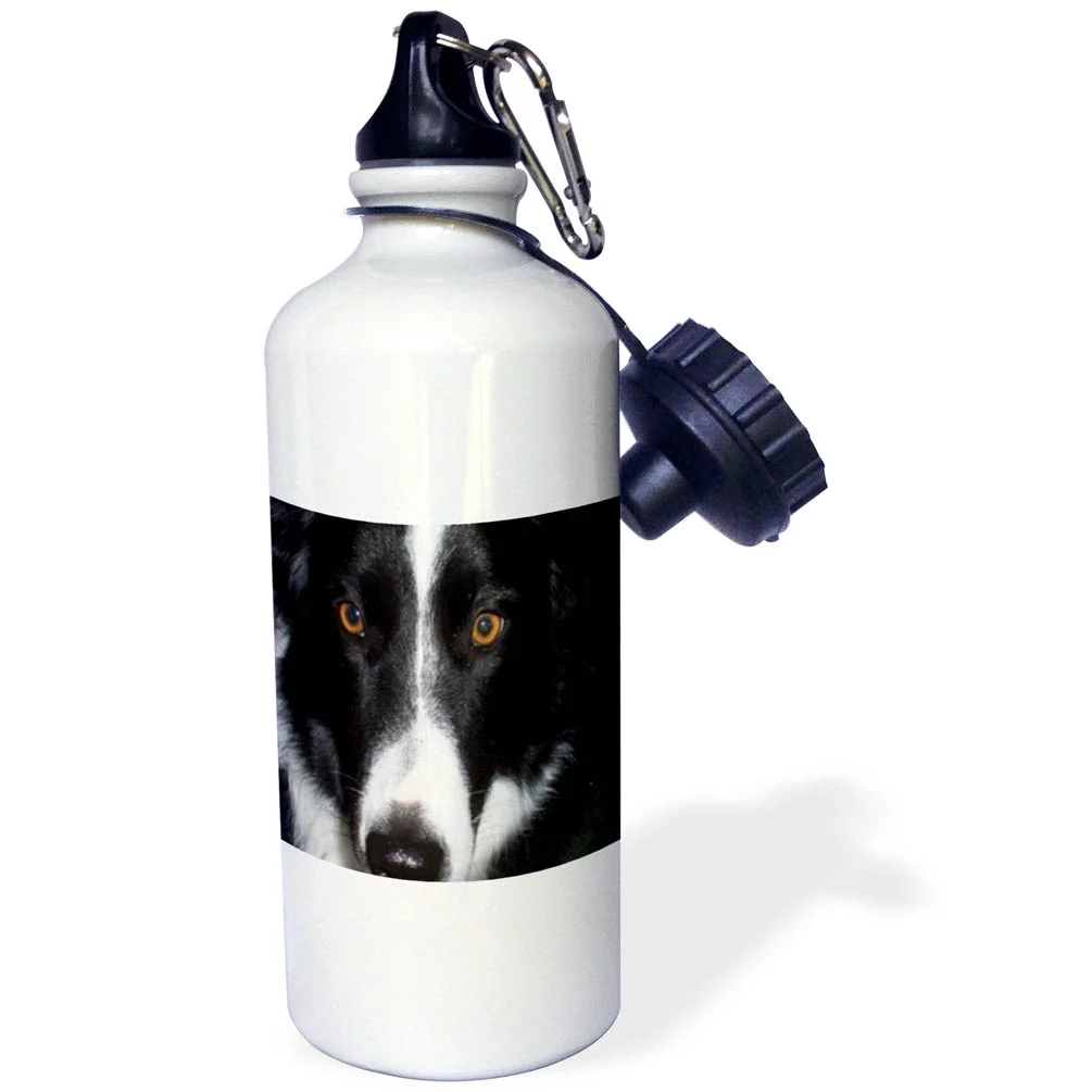 Border Collie Macro 21 oz Sports Water Bottle wb-50182-1