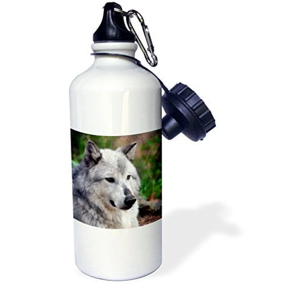 3dRose Wolf, Sports Water Bottle, 21oz