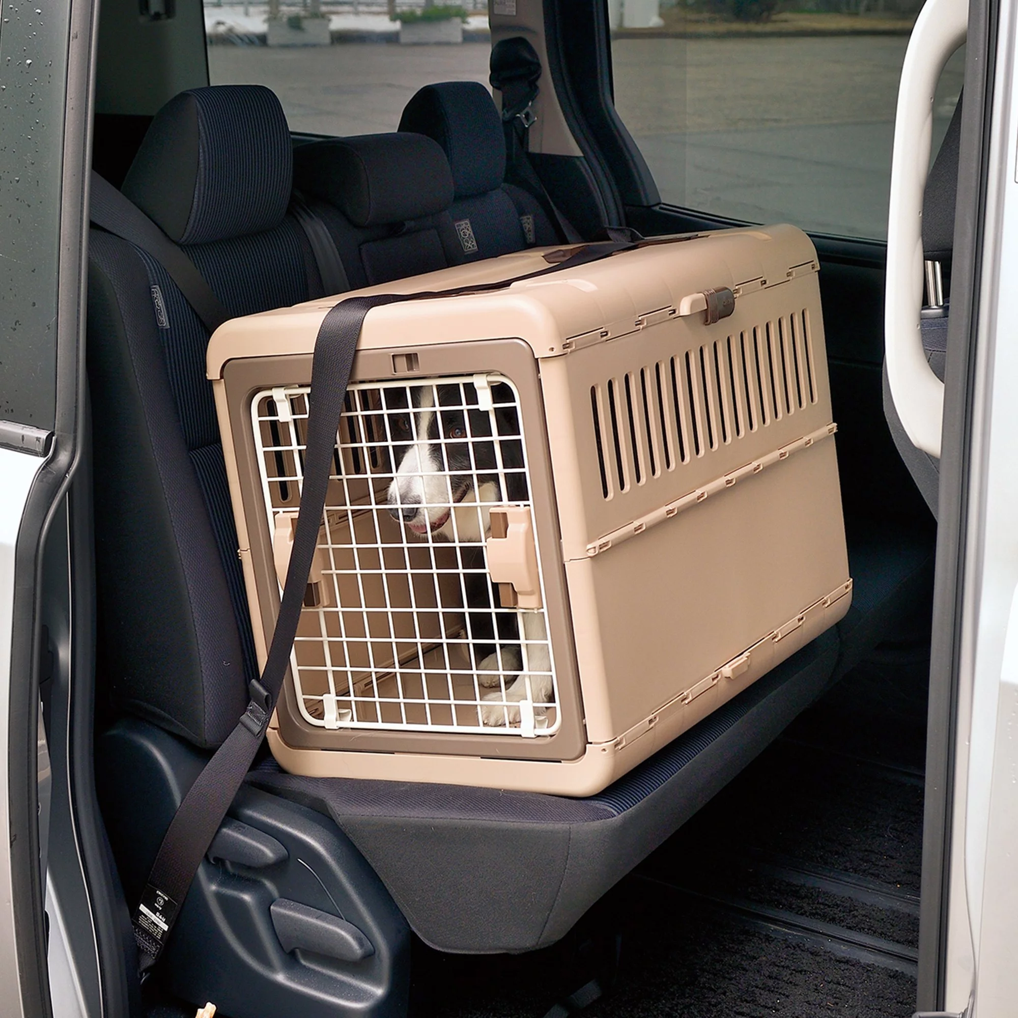 Richelle Foldable Pet Travel Carrier Medium in Brown, Stores Easily, for Dogs & Cats