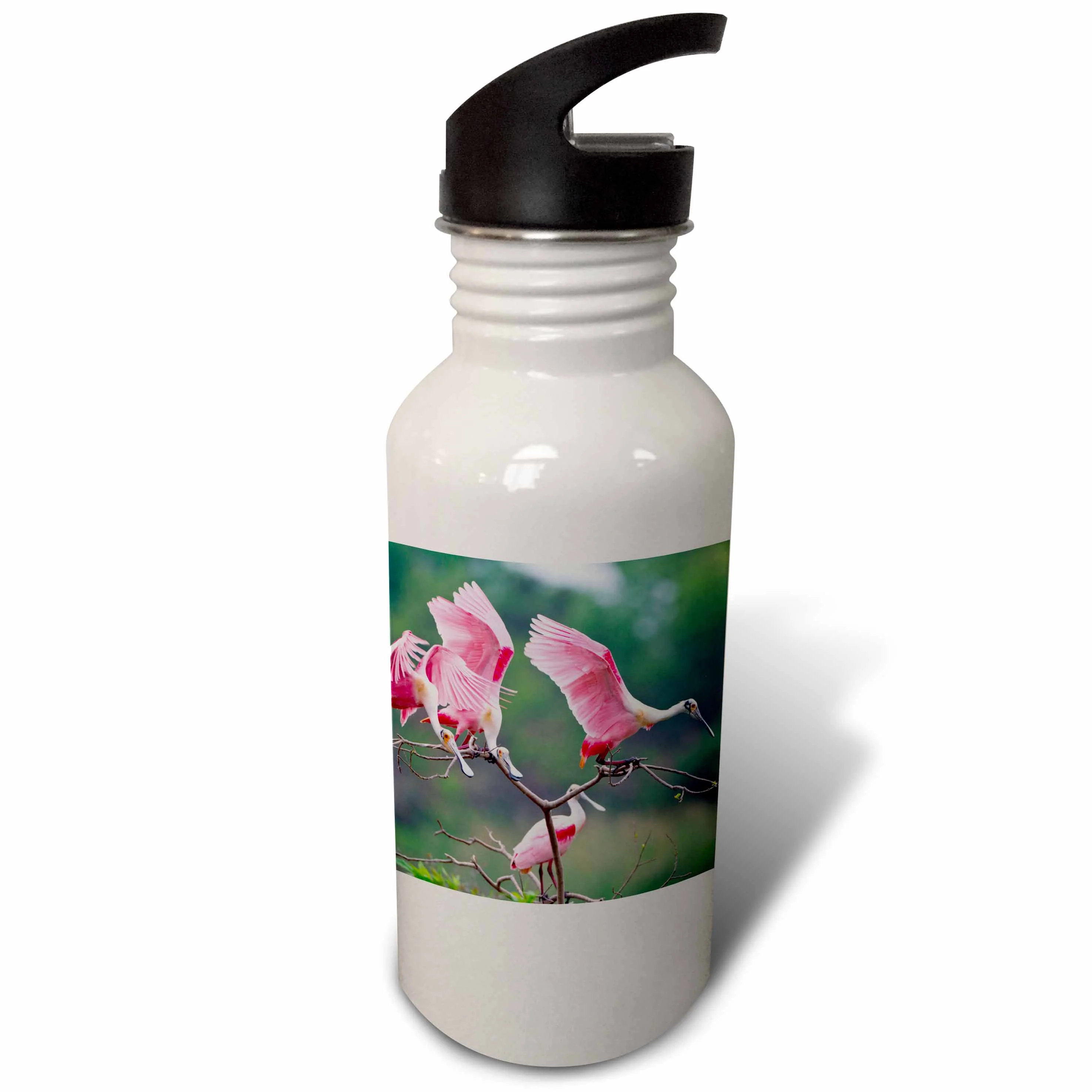 Roseate Spoonbills, Ajaia ajaja, landing in near nests. 21 oz Sports Water Bottle wb-191316-1