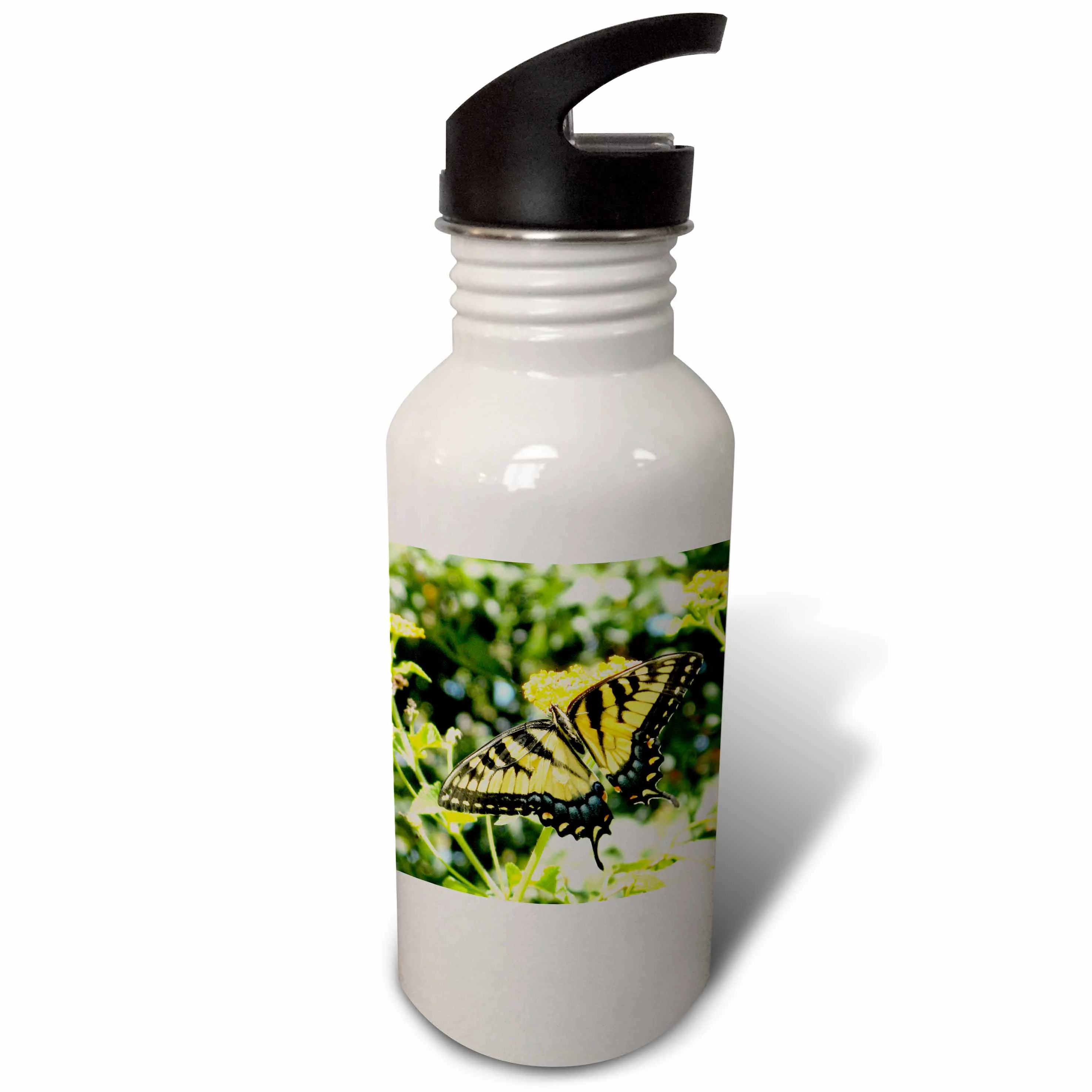 Awesome Yellow Swallowtail Butterfly Photography 21 oz Sports Water Bottle wb-200105-1